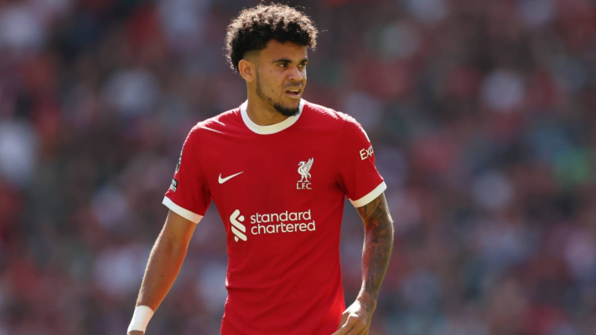 لويس فرناندو دياز