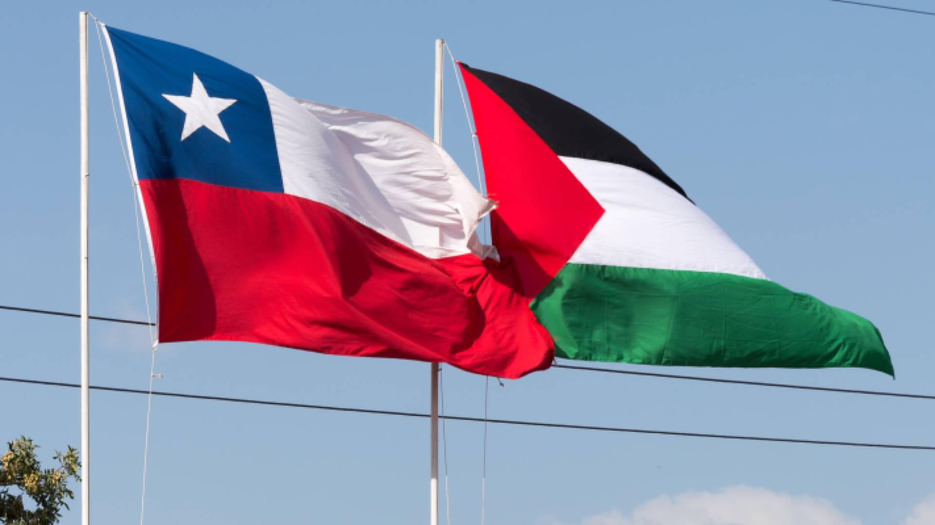 علما فلسطين وتشيلي