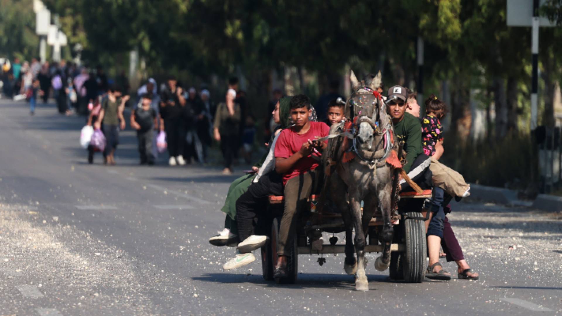 نازحون فلسطينيون على عربة ينتقلون إلى جنوب غزة