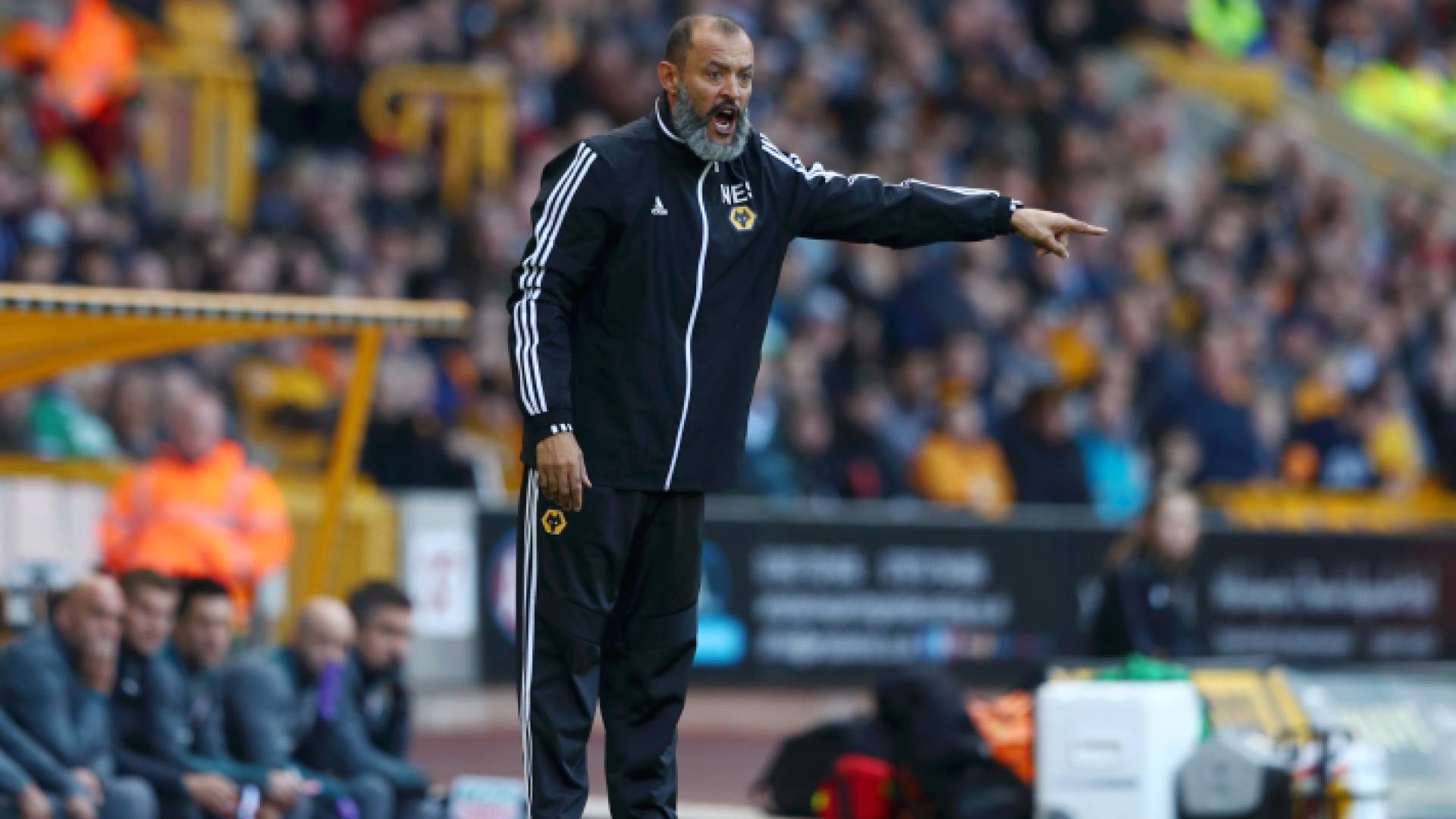 من مباراة سابقة للمدرب سانتوس مع وولفرهامبتون