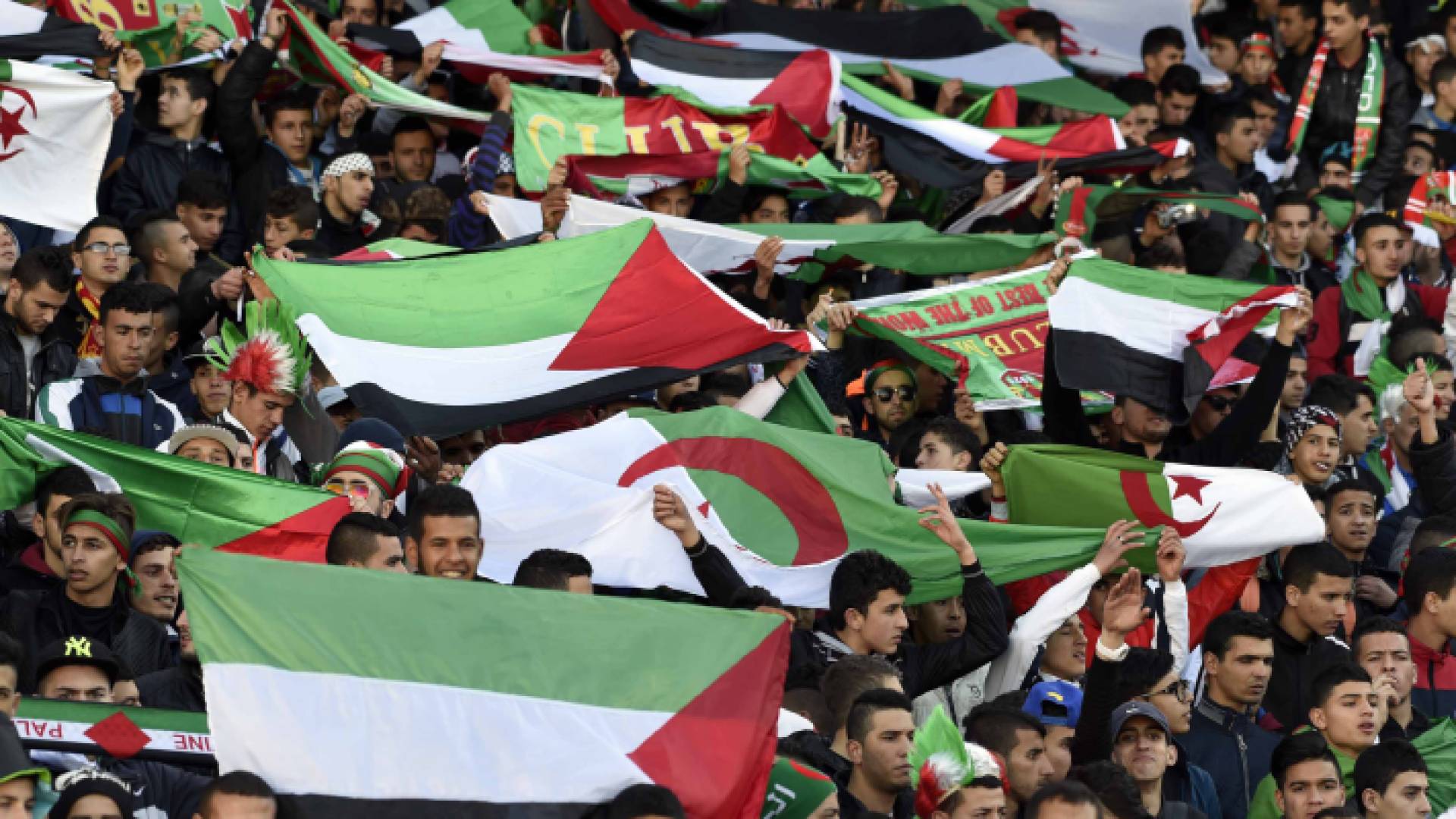 جماهير الجزائرية ترفع العلم الفلسطيني