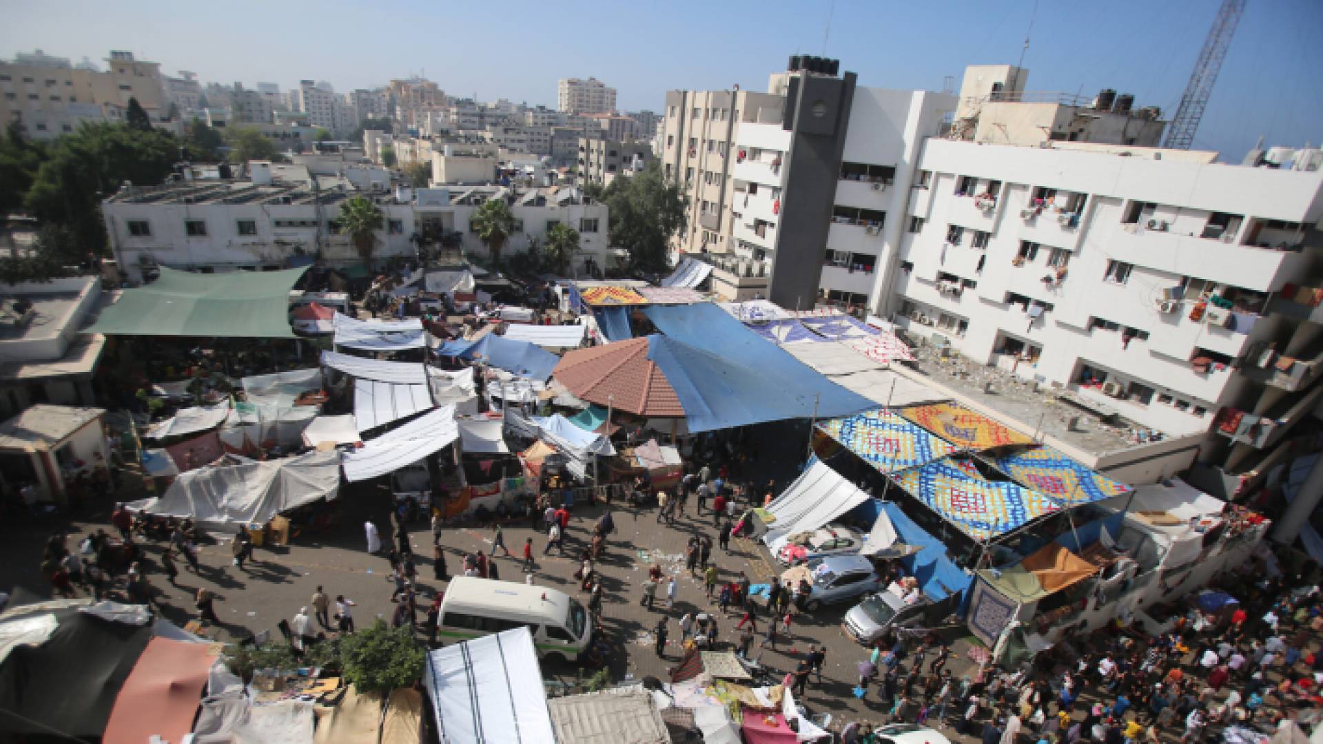 مجمع الشفاء الطبي