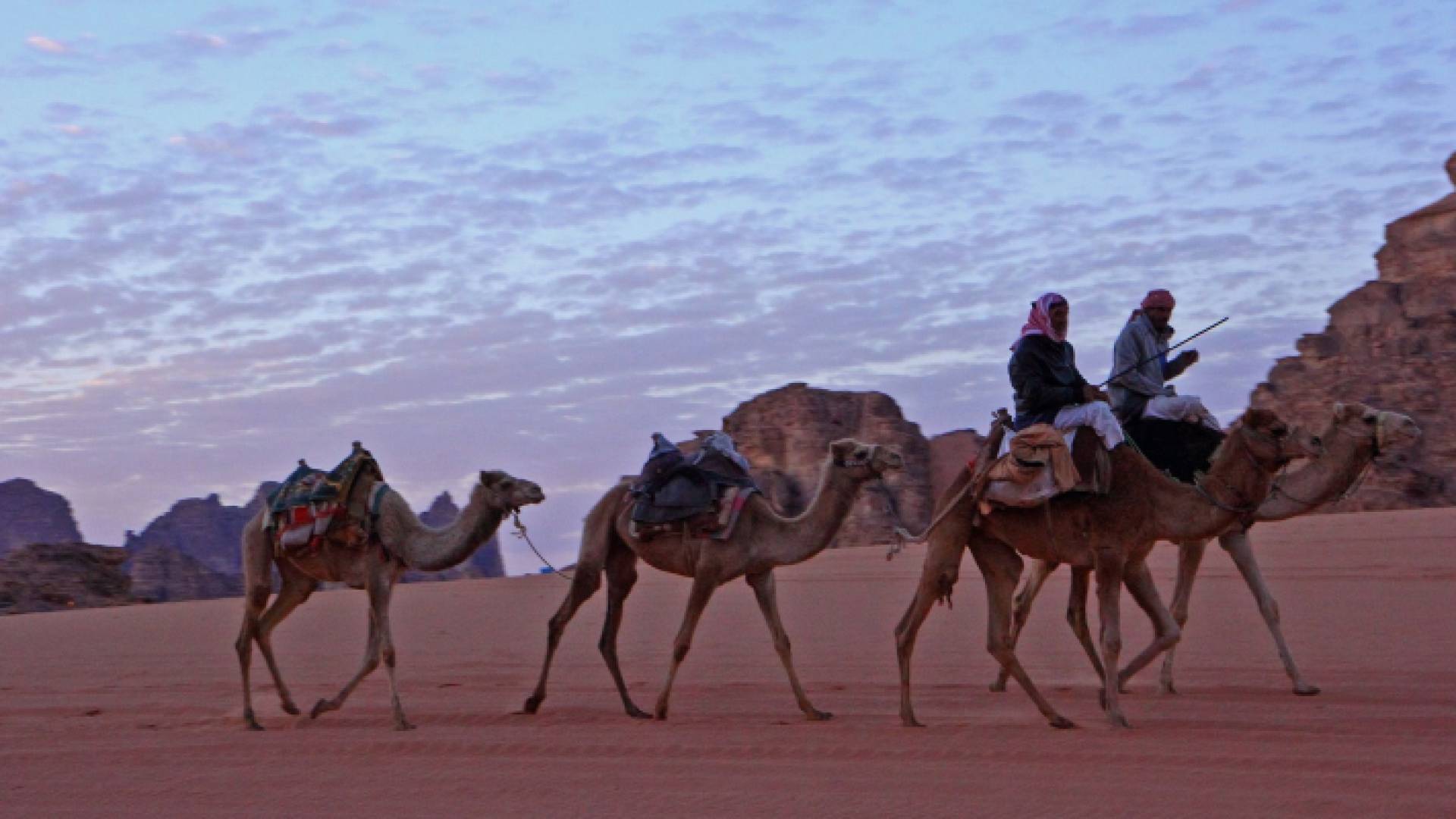 رجلان يركبان على الإبل في وادي رم