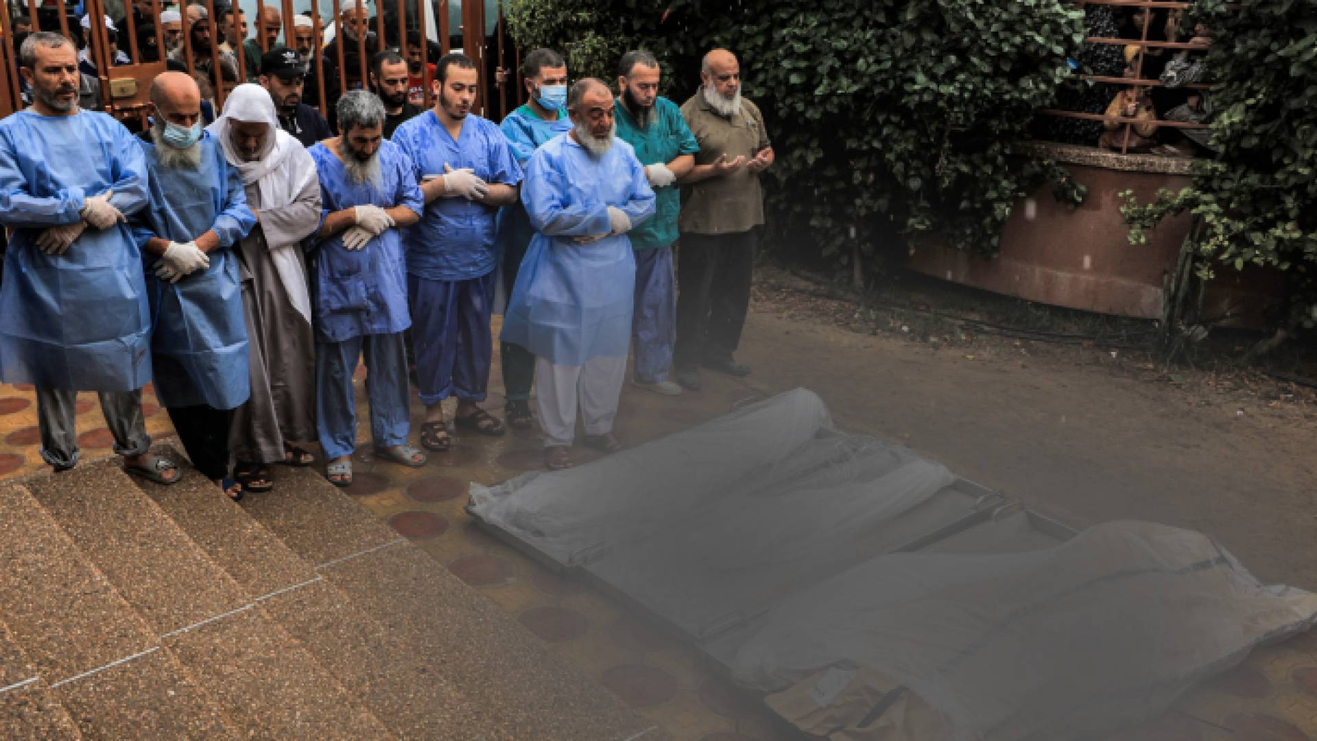 أطباء يصلون صلاة الجنازة على شهداء