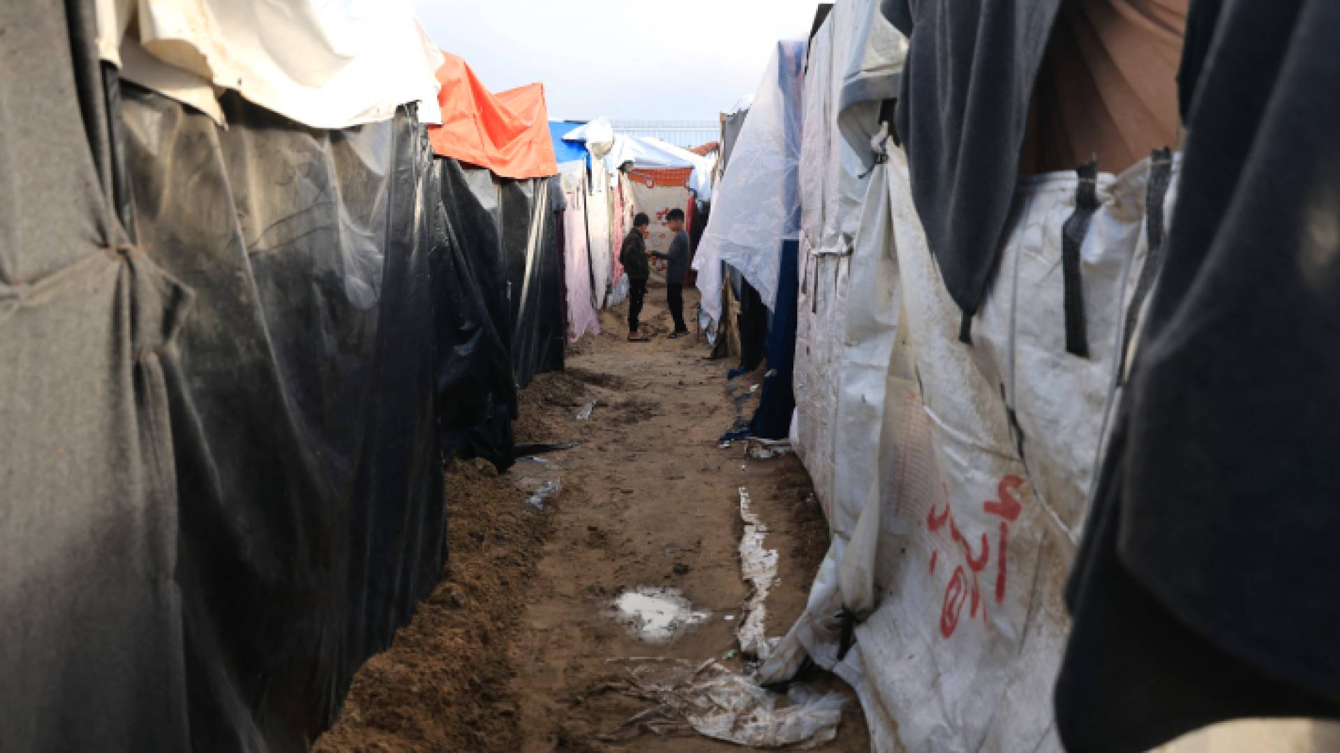 صغار في غزة