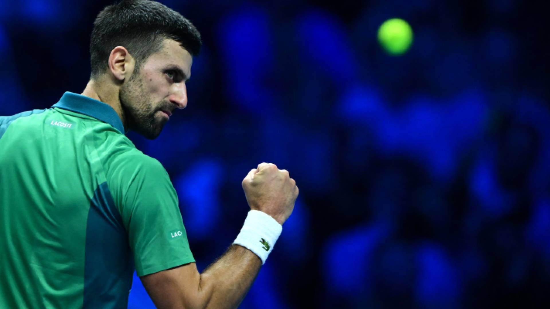 نوفاك دجوكوفيتش