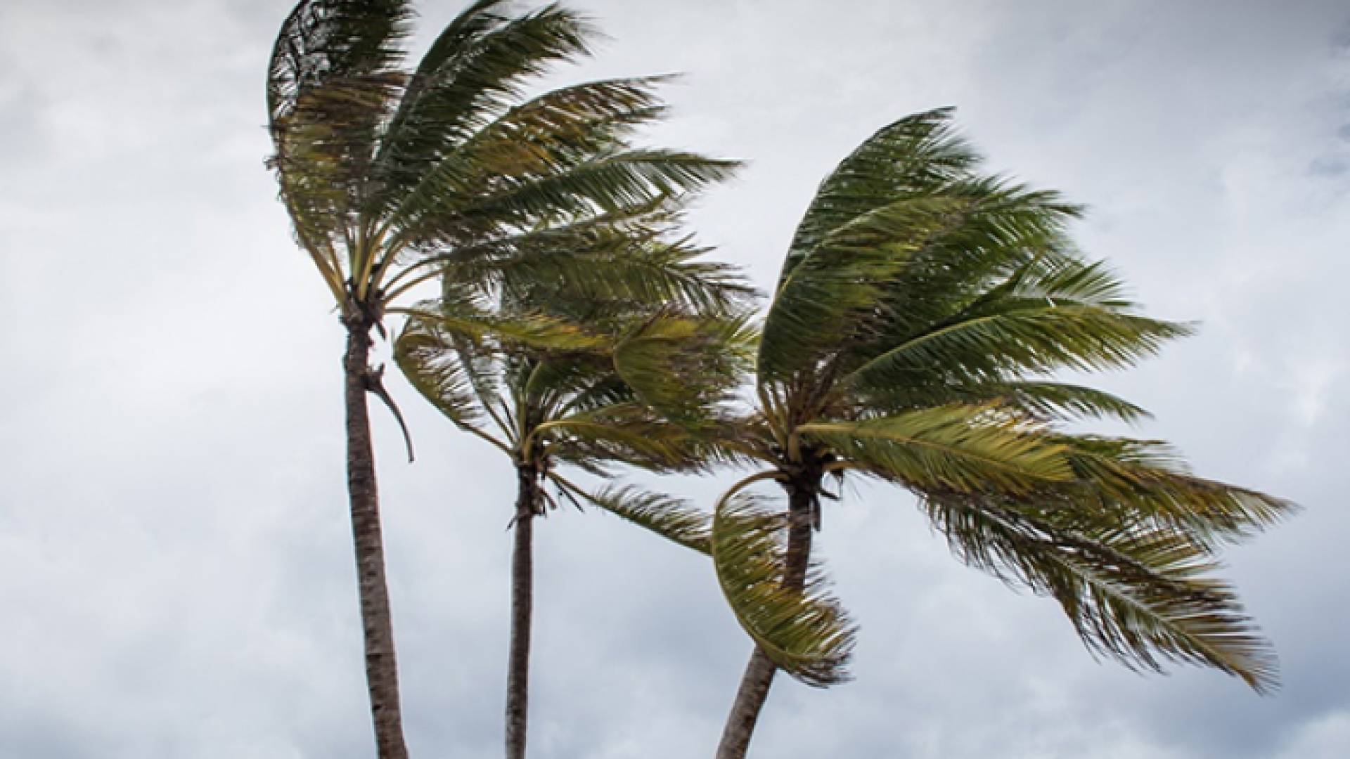 صورة تعبيرية لرياح قوية