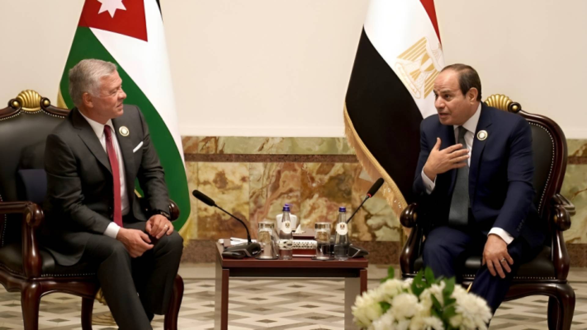 الملك عبدالله والرئيس السيسي يؤكدان دعم الأردن ومصر الكامل للفلسطينيين