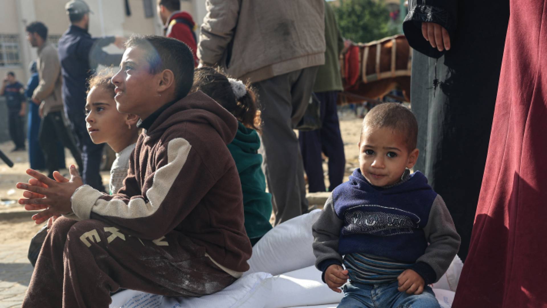 معاناة الغزيين في الحصول على الغذاء جراء عدوان الاحتلال على القطاع - أرشيفية