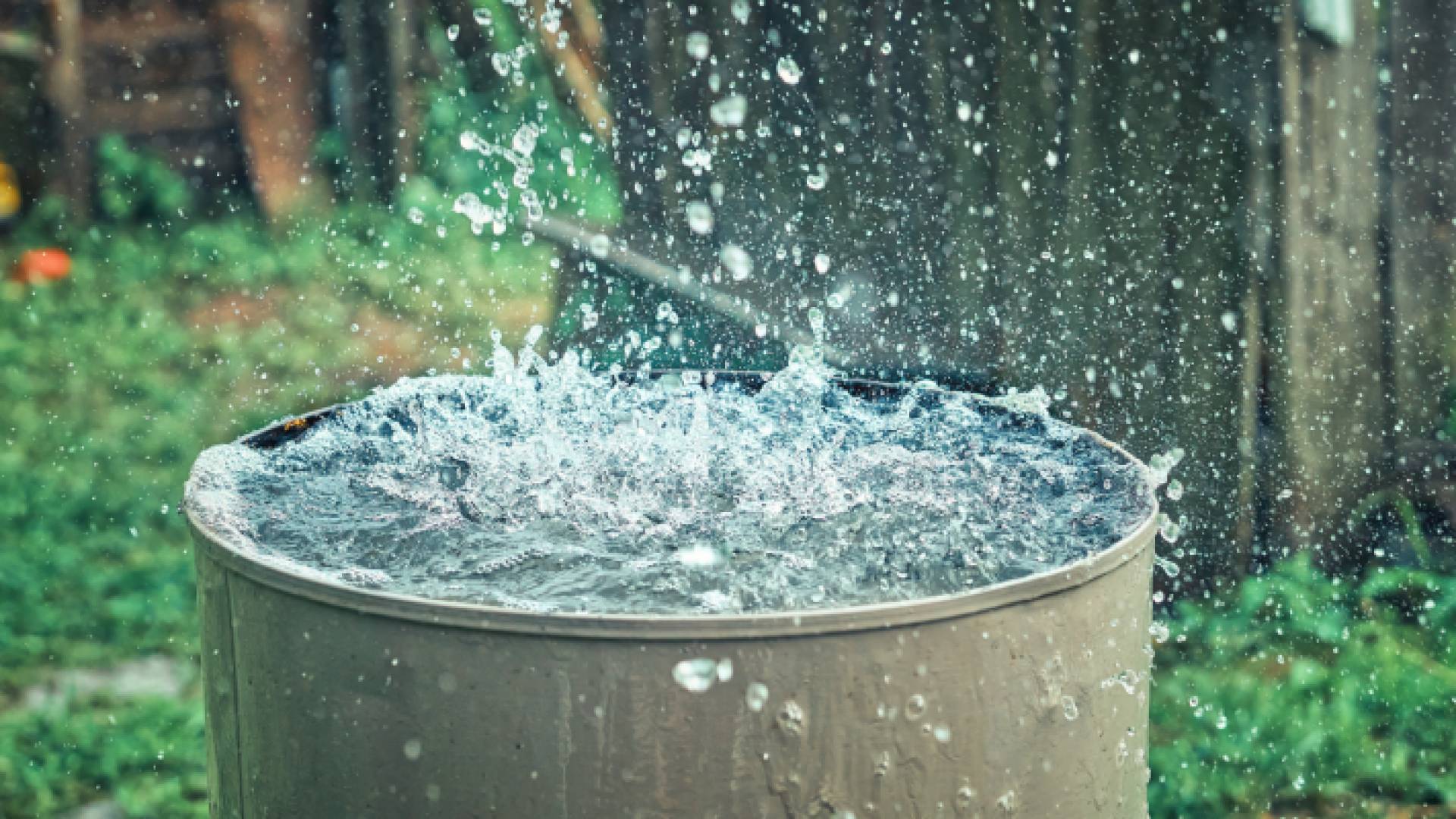 تجميع مياه أمطار