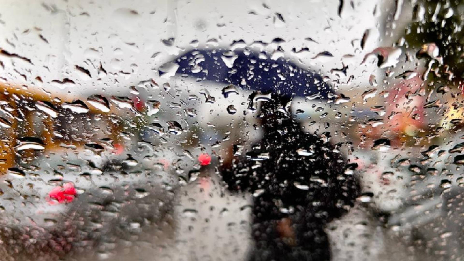 شخص يحمل مظلة وسط زخات المطر