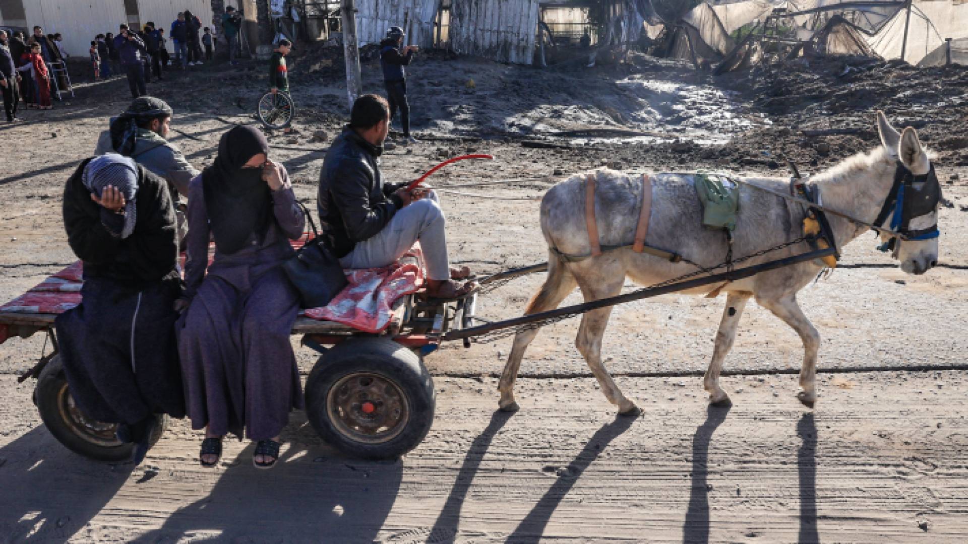 فلسطينيون يستخدمون عربة في قطاع غزة