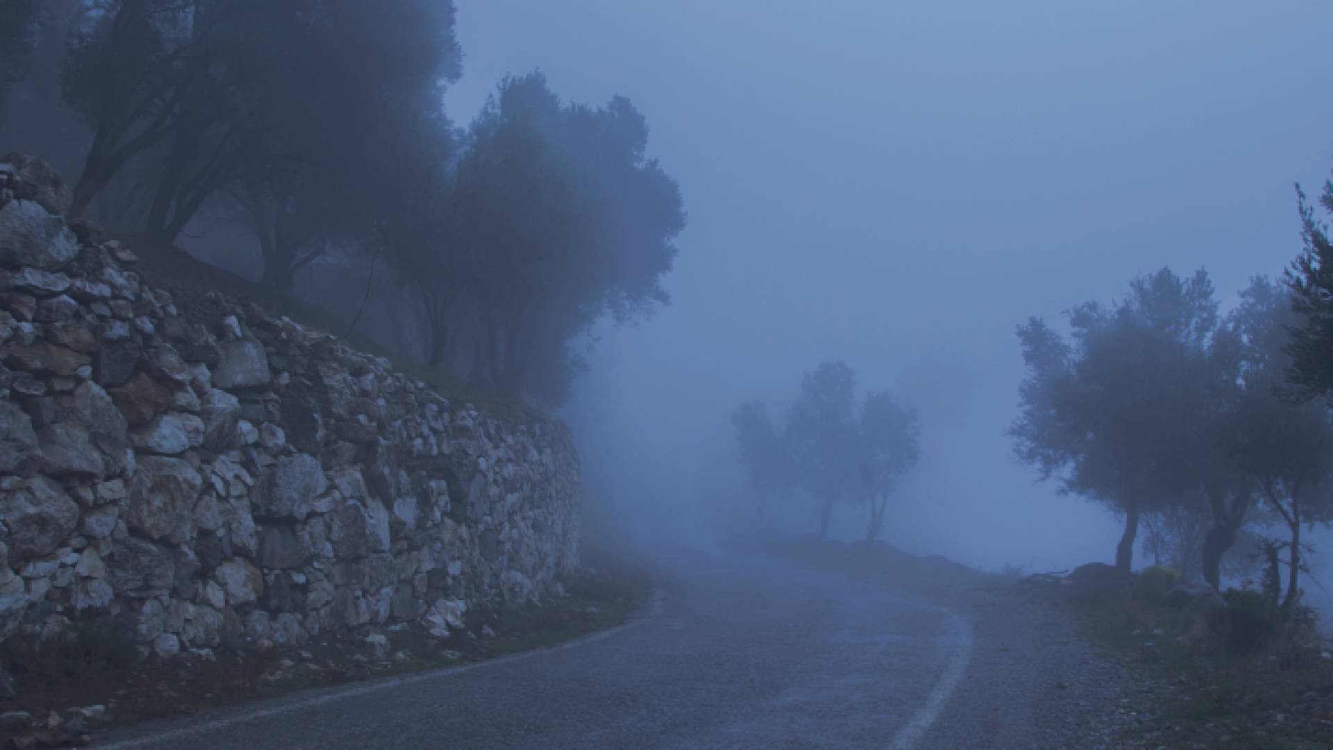 ضباب - أرشيفية