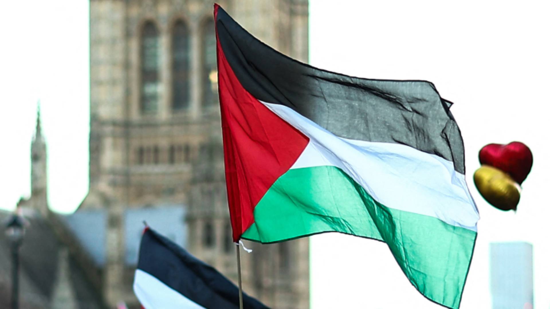 علم دولة فلسطين - أرشيفية