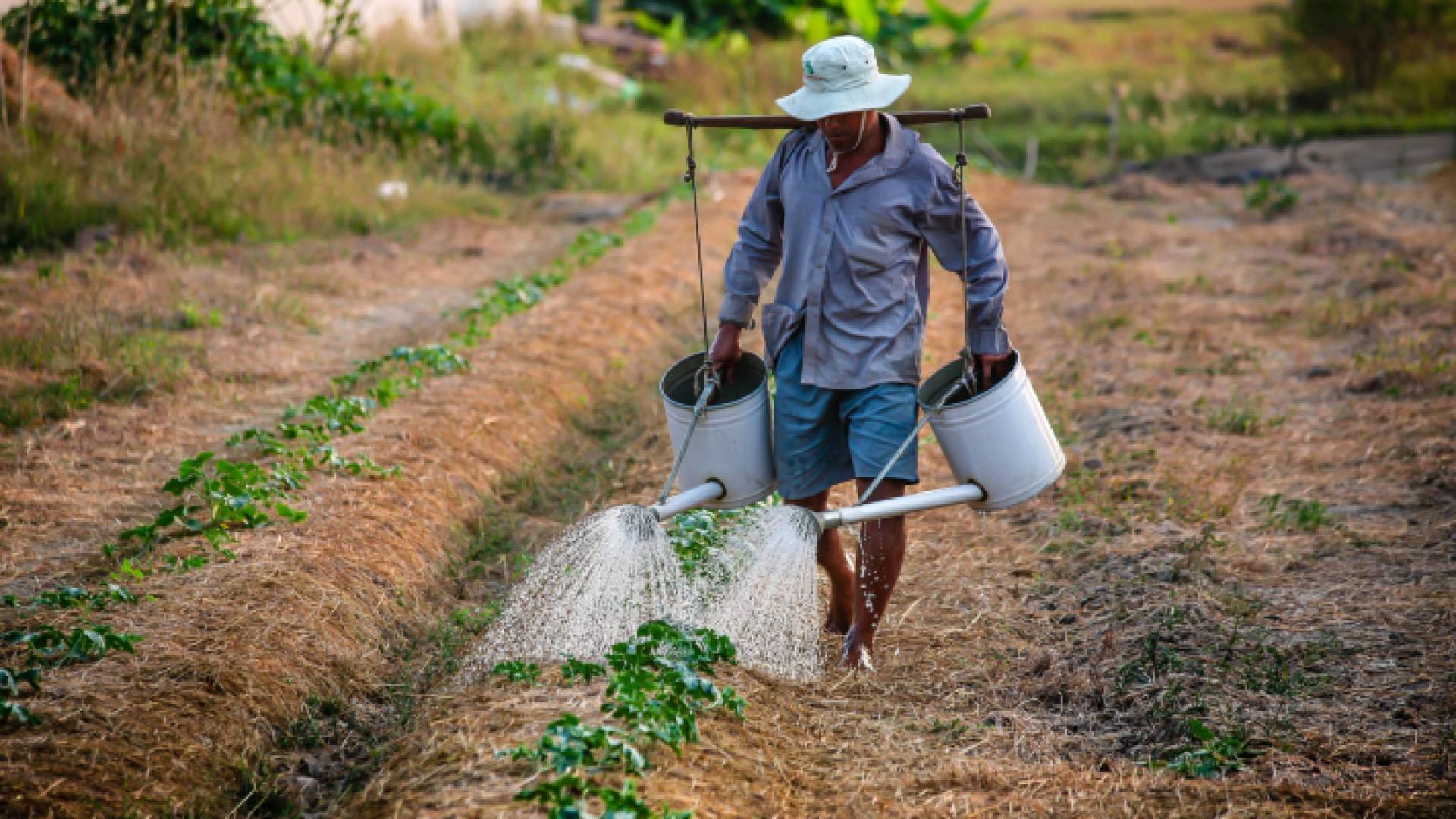 مزارع يروي مزروعات