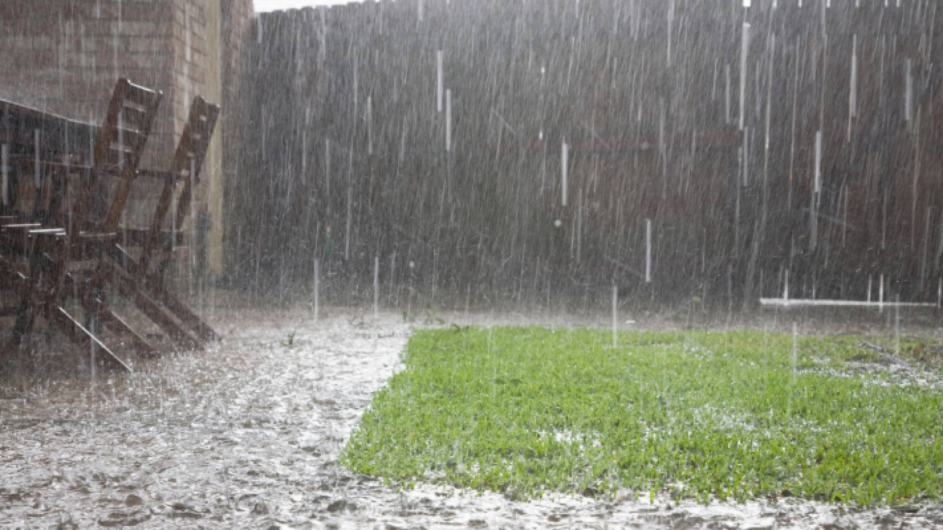 أمطار غزيرة