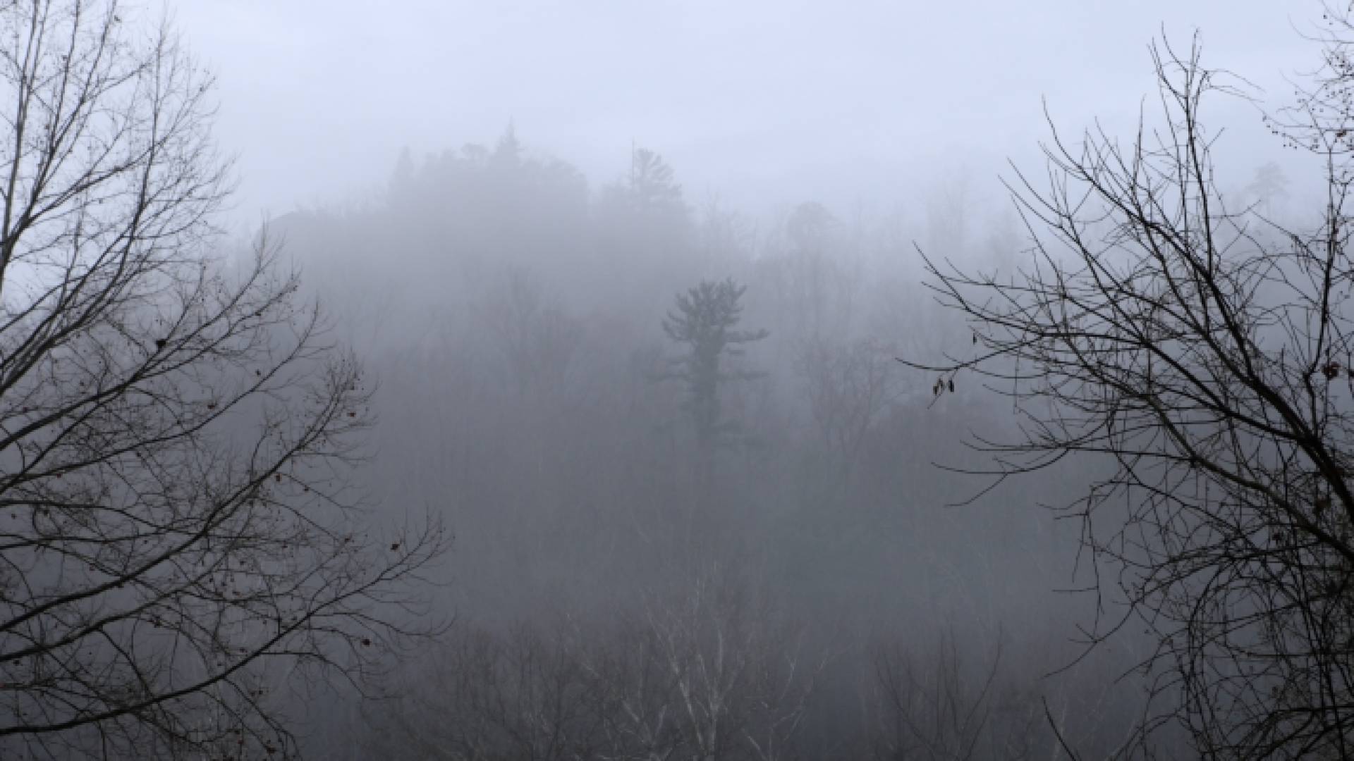 ضباب - أرشيفية