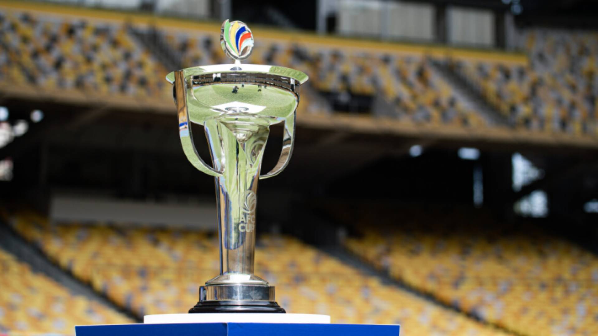 كأس البطولة