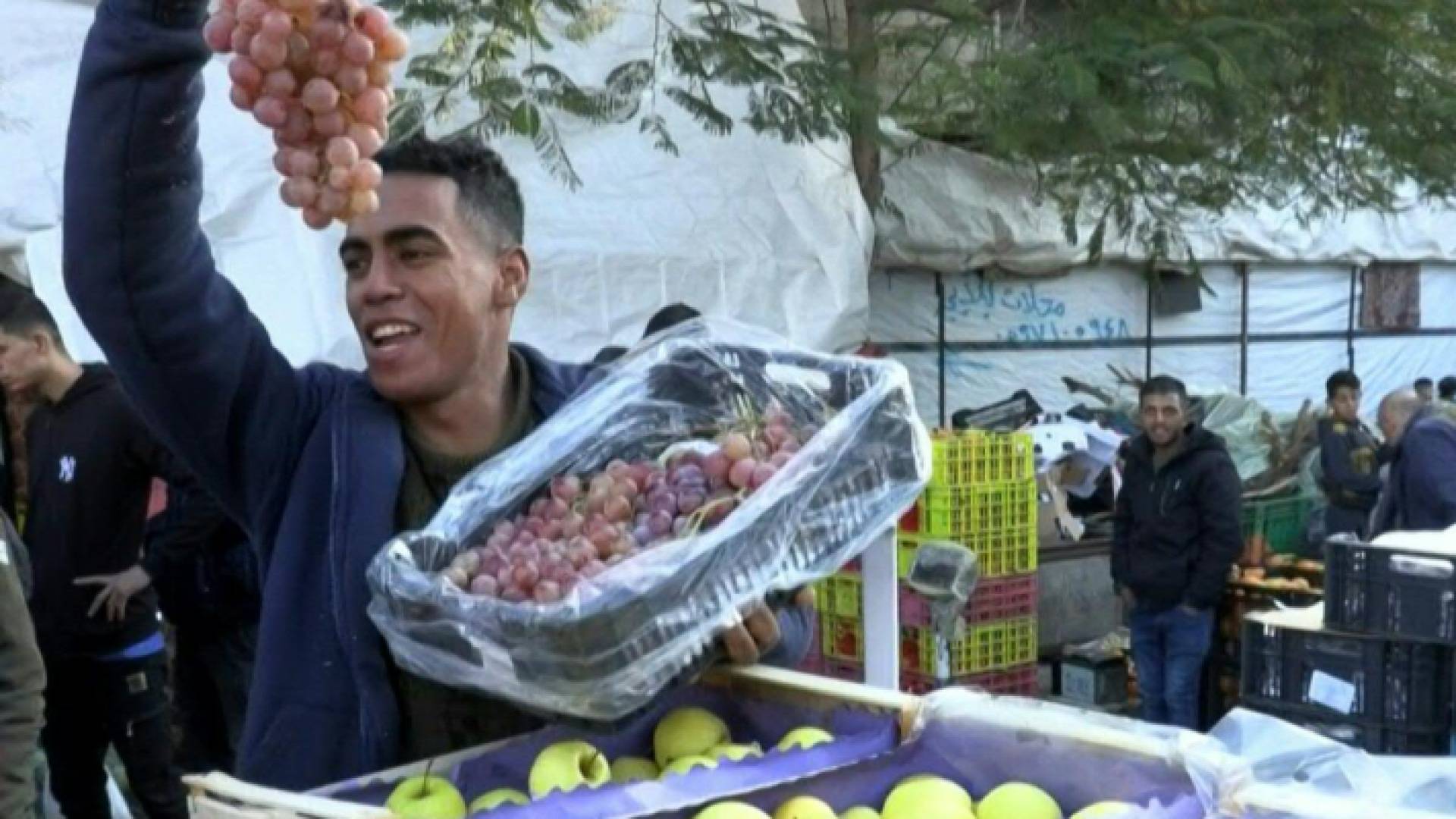 دخول شاحنات الفواكه لغزة