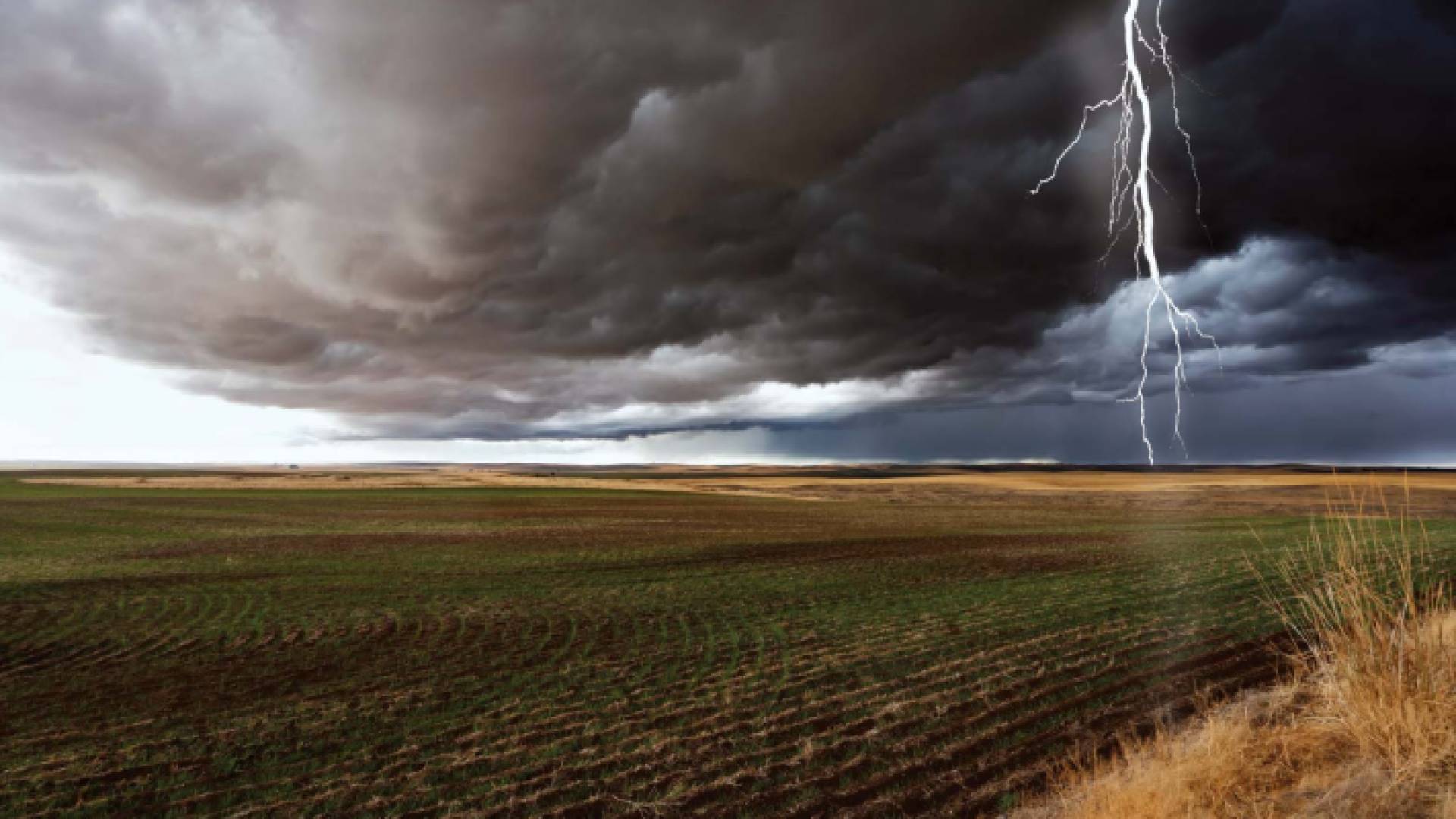 عواصف رعدية "ذكاء اصطناعي"