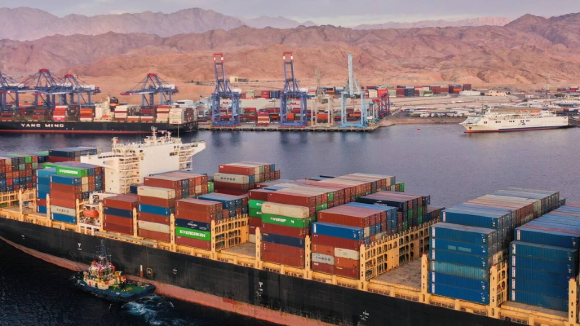 بواخر الشحن في ميناء العقبة