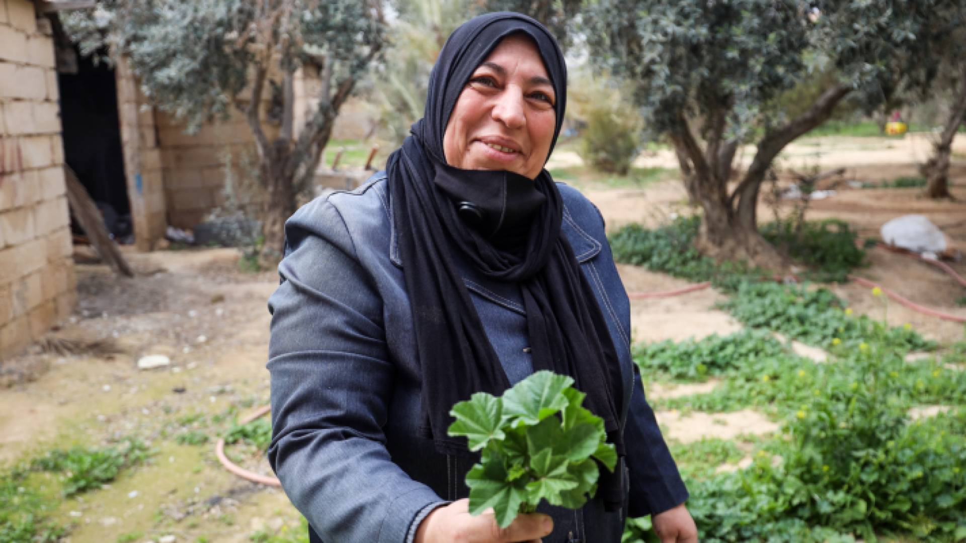 سيدة تعمل في الزراعة في الأردن