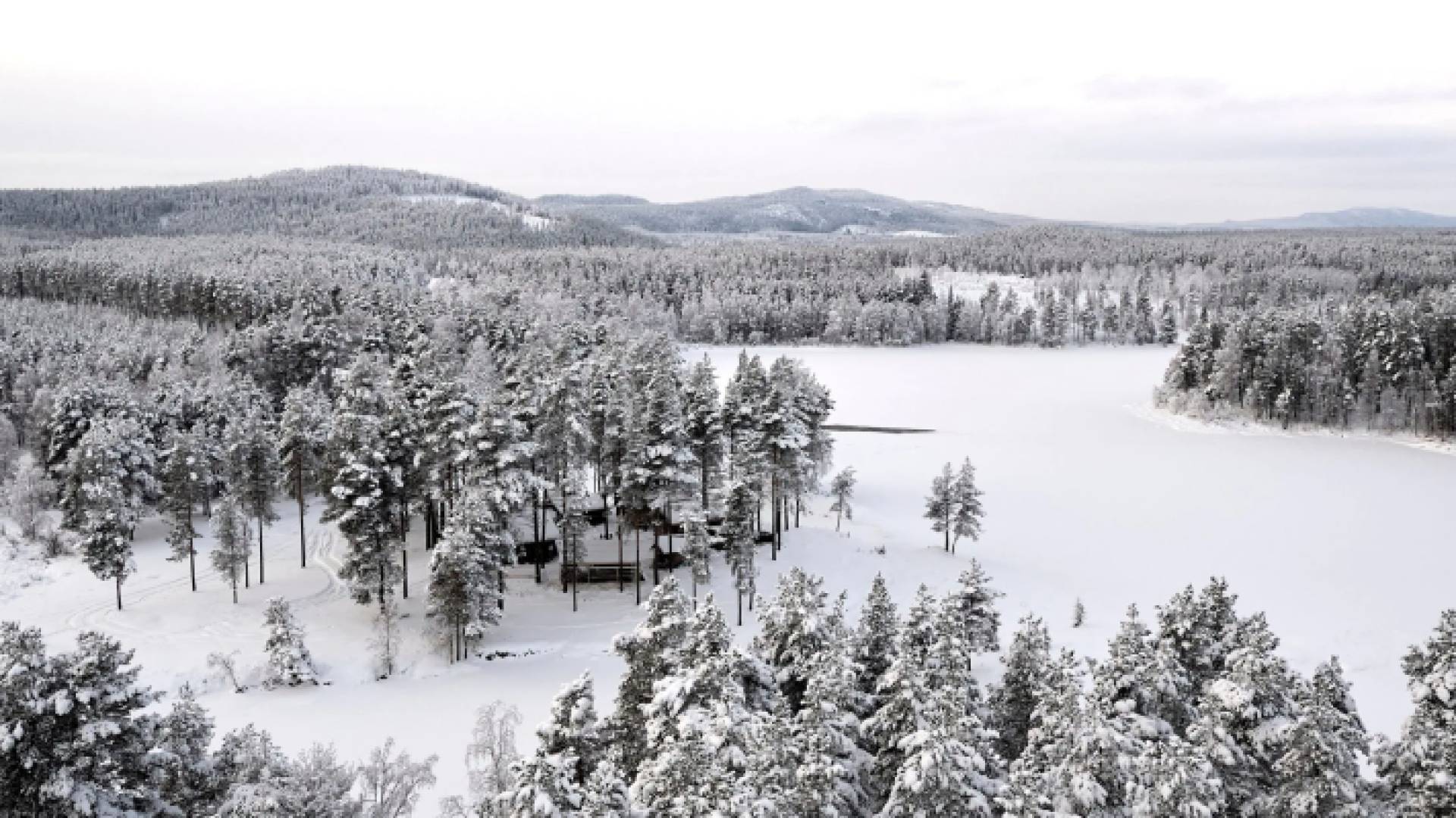 السويد وفنلندا تسجلان درجات حرارة قياسية