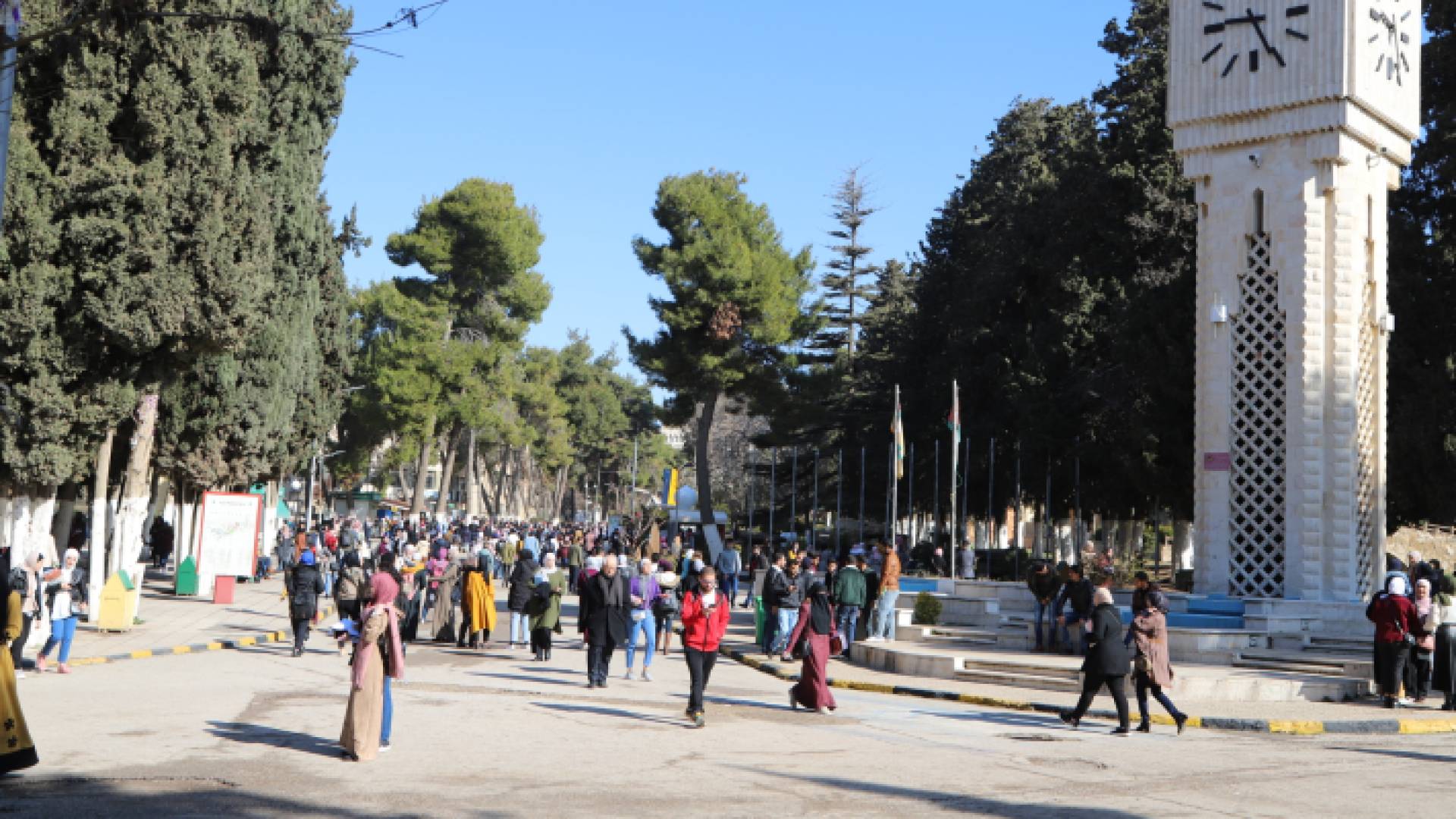 طلبة جامعيون