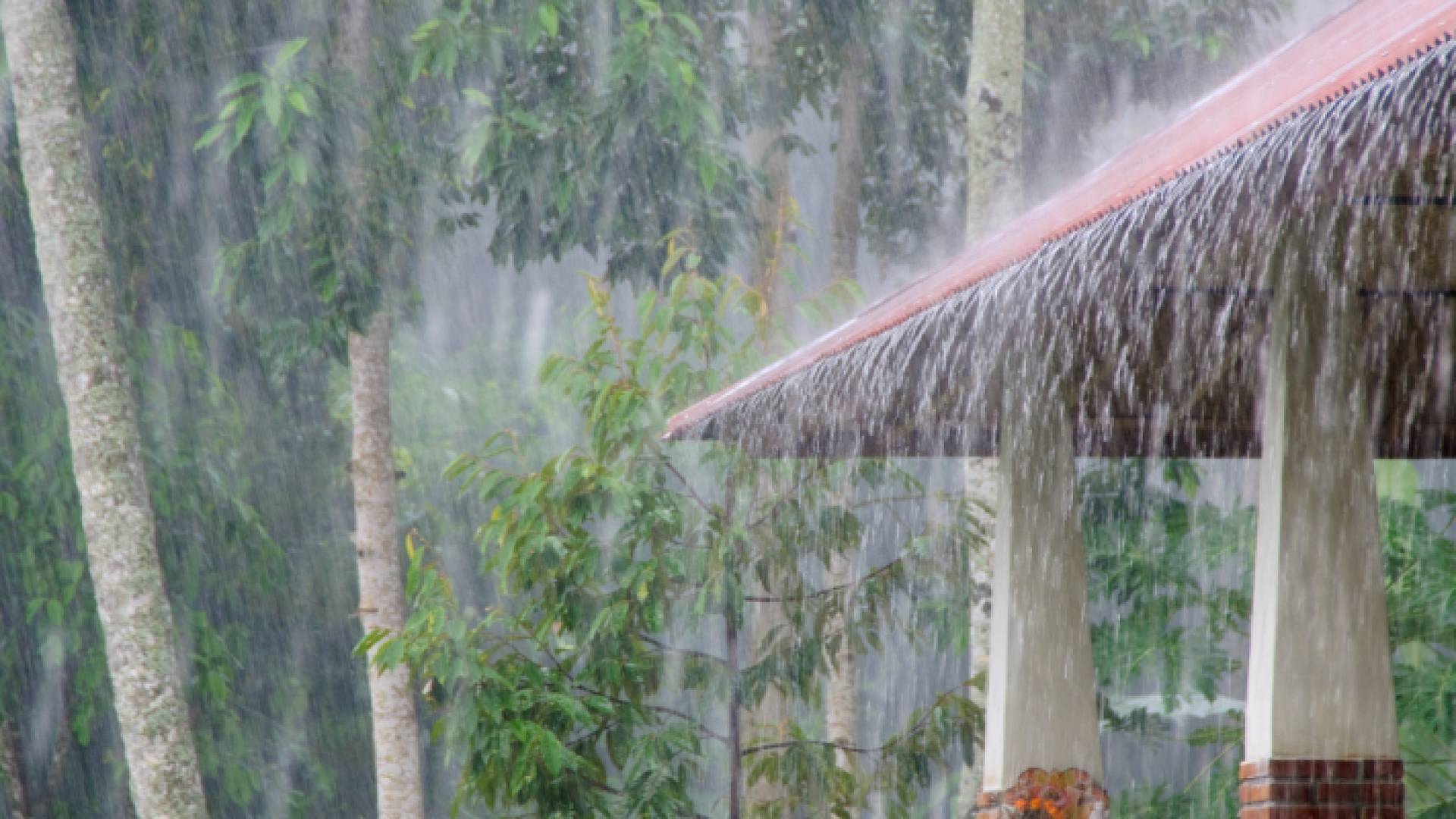 تساقط أمطار - أرشيفية