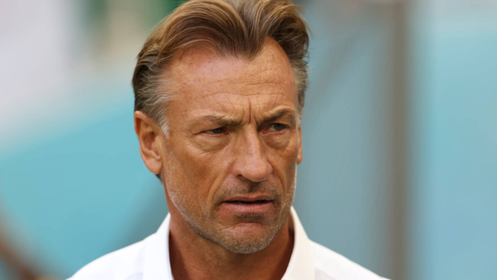 هيرفي رينارد