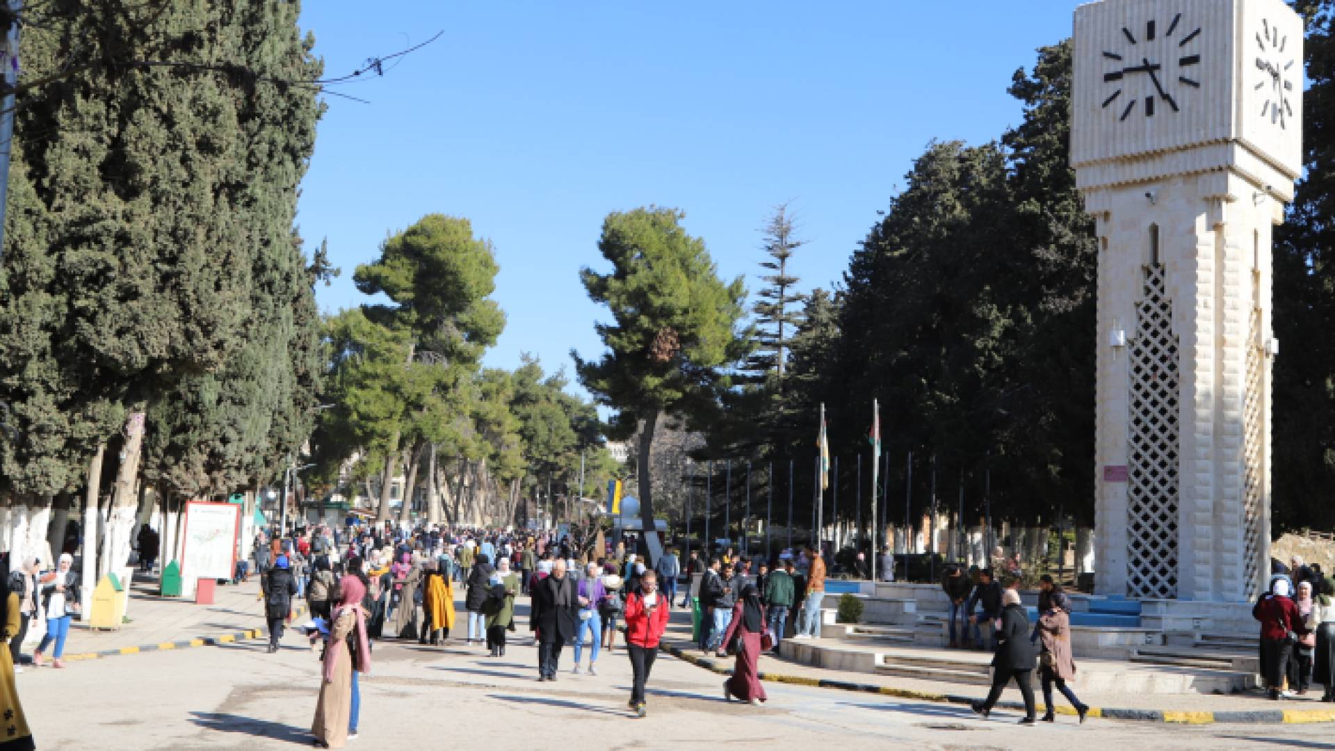 الجامعة الأردنية