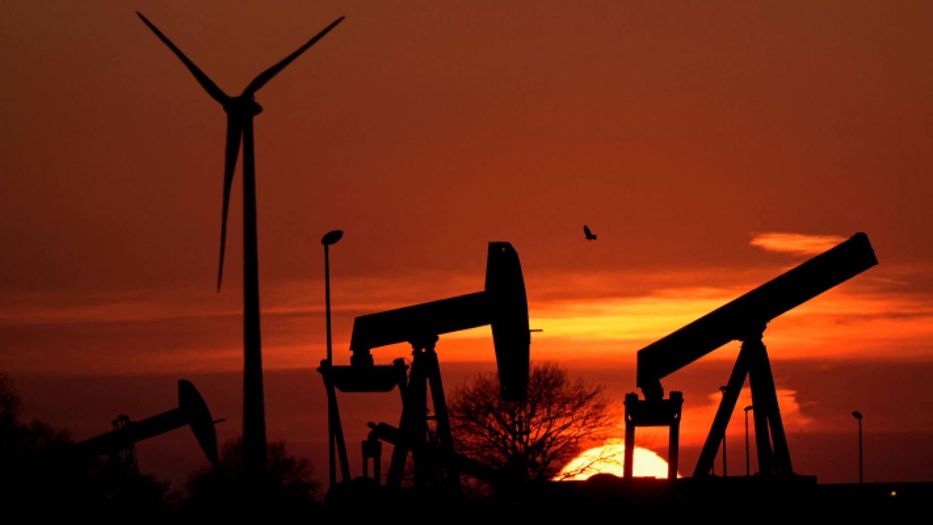 حقل استخراج نفط