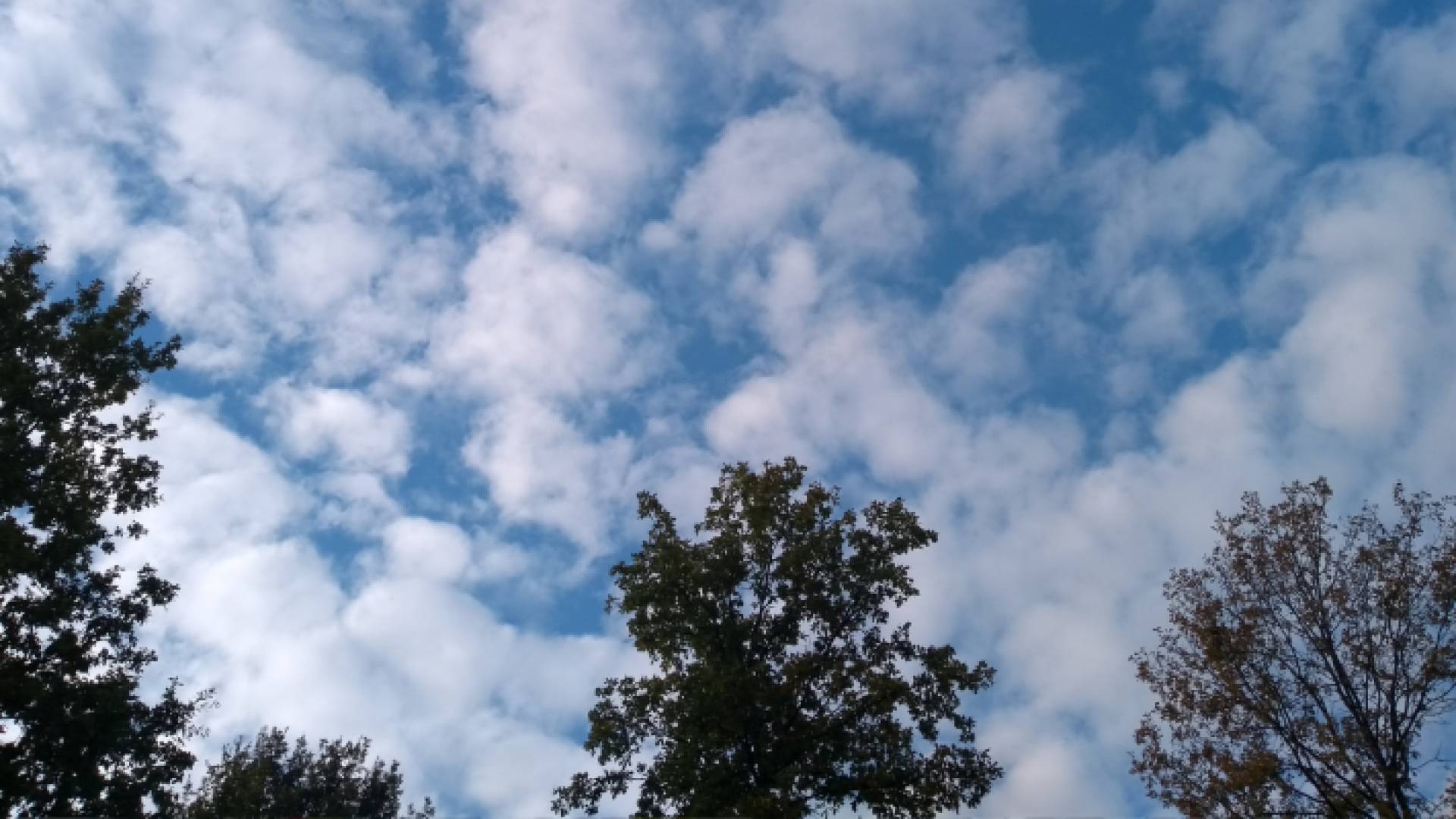 أجواء غائمة