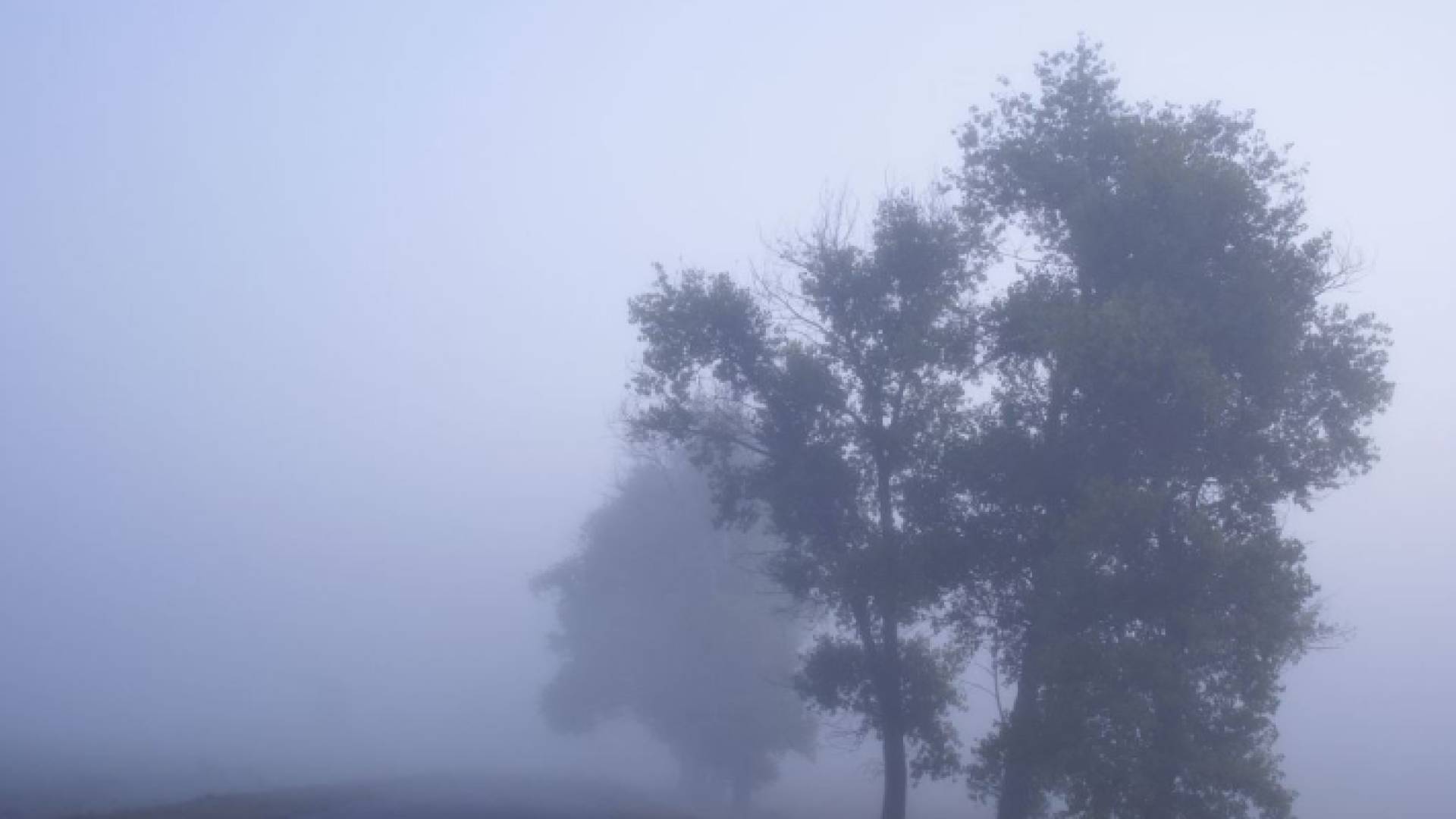 ضباب - أرشيفية