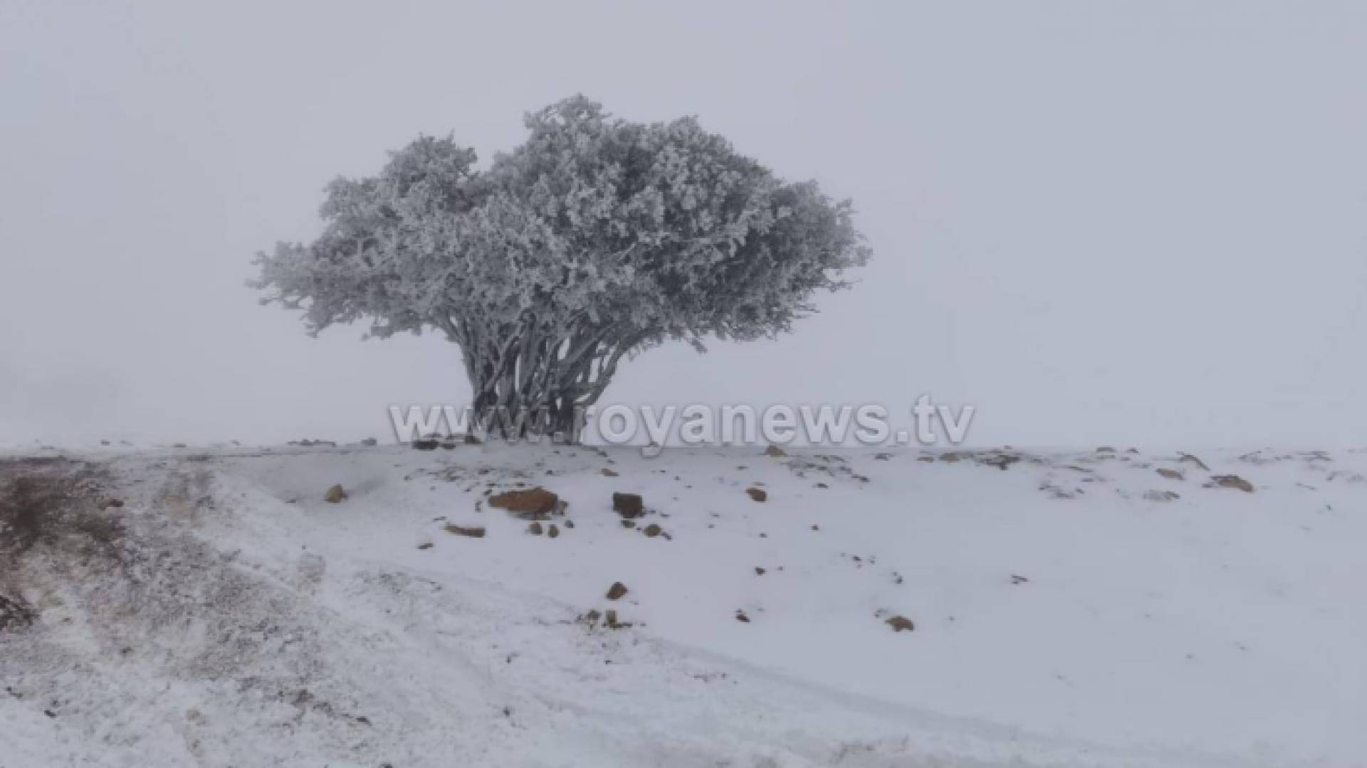 ثلوج في الطفيلة - أرشيف