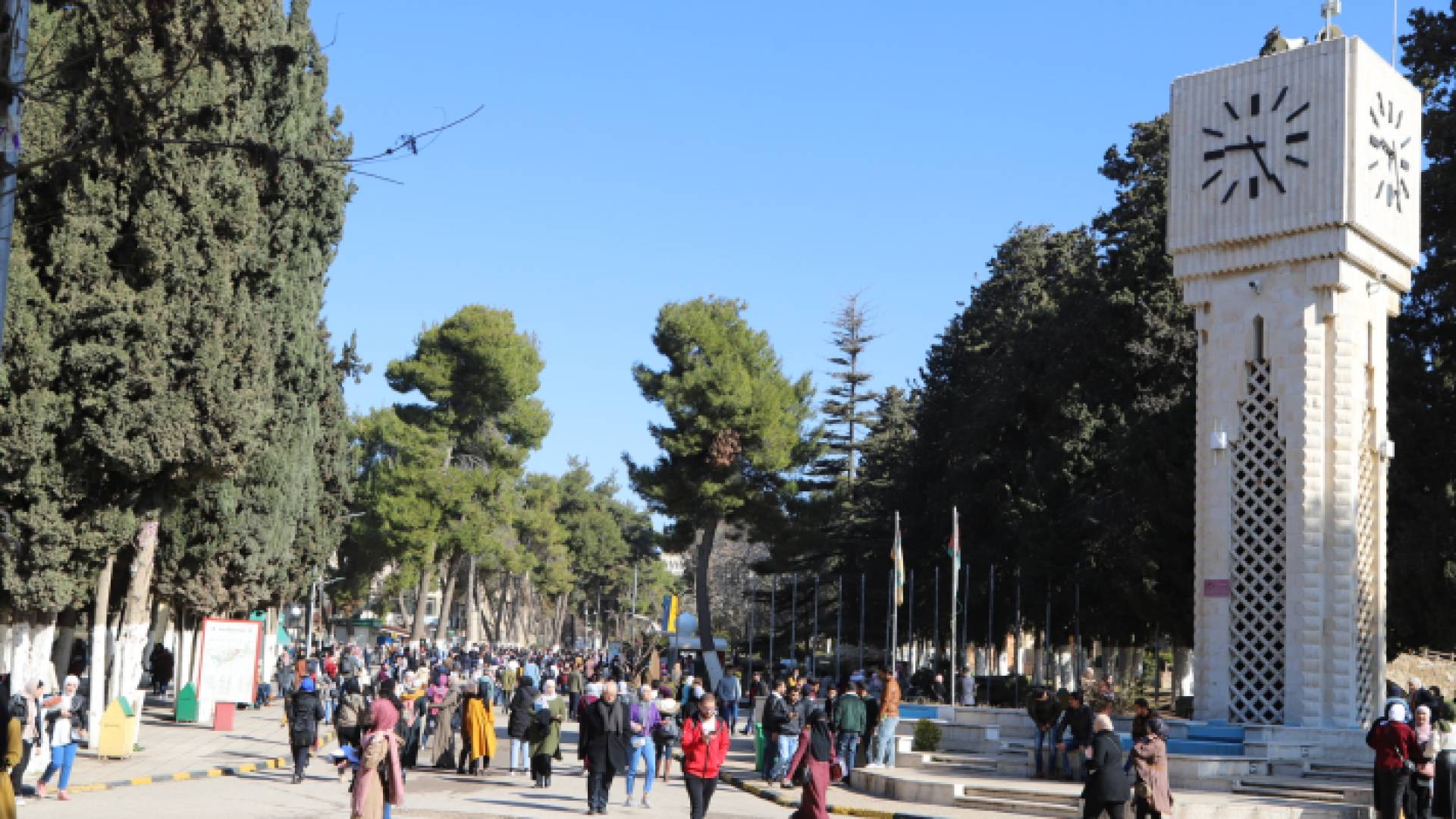 الجامعة الأردنية