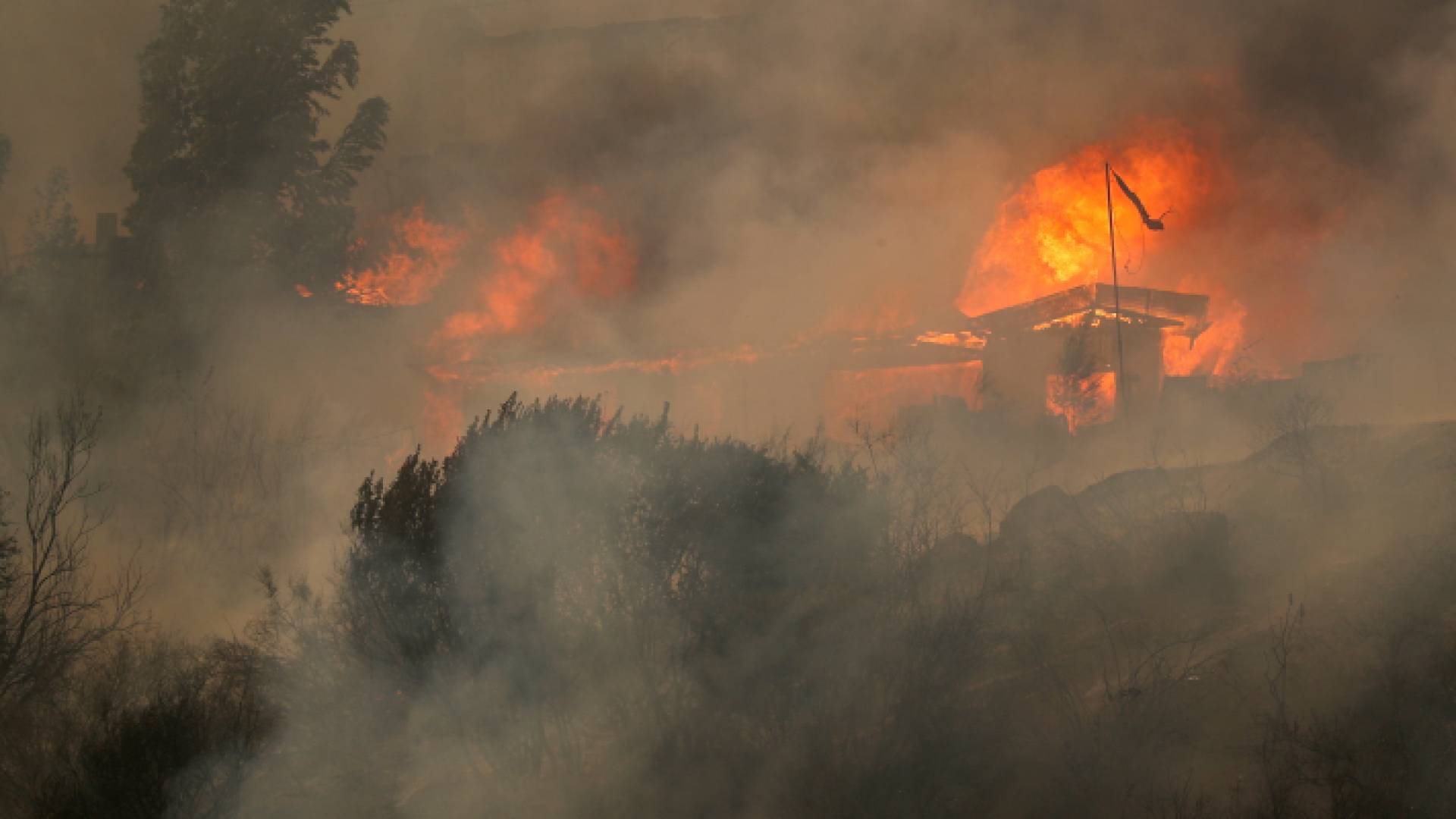 حرائق الغابات في التشيلي - رويترز