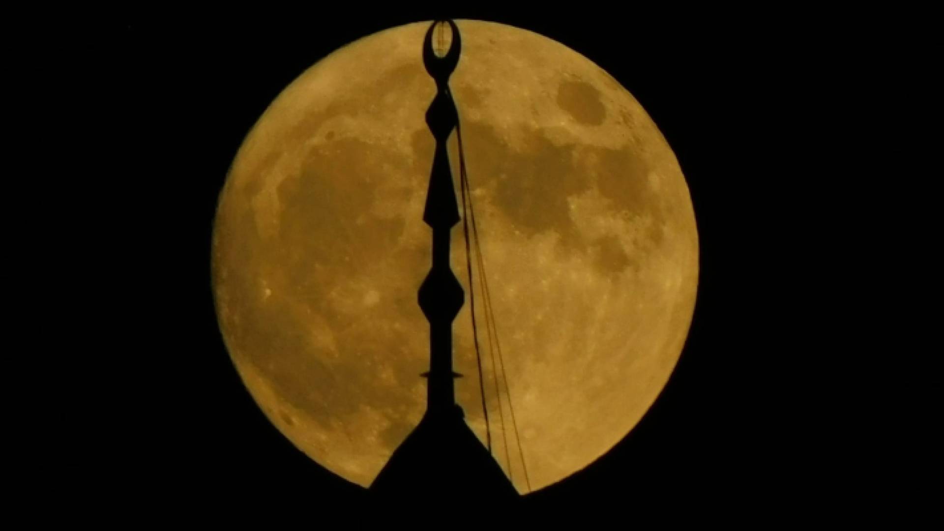 "بدر شباط الأصغر" - أرشيفية