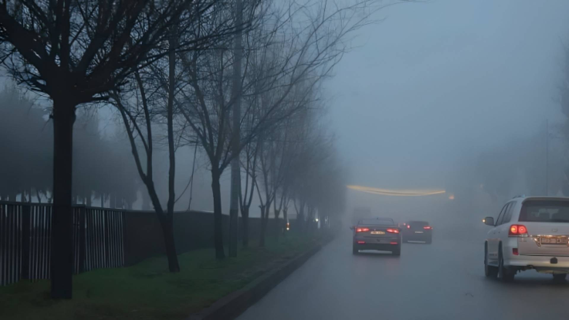 ضباب كثيف في العاصمة عمان