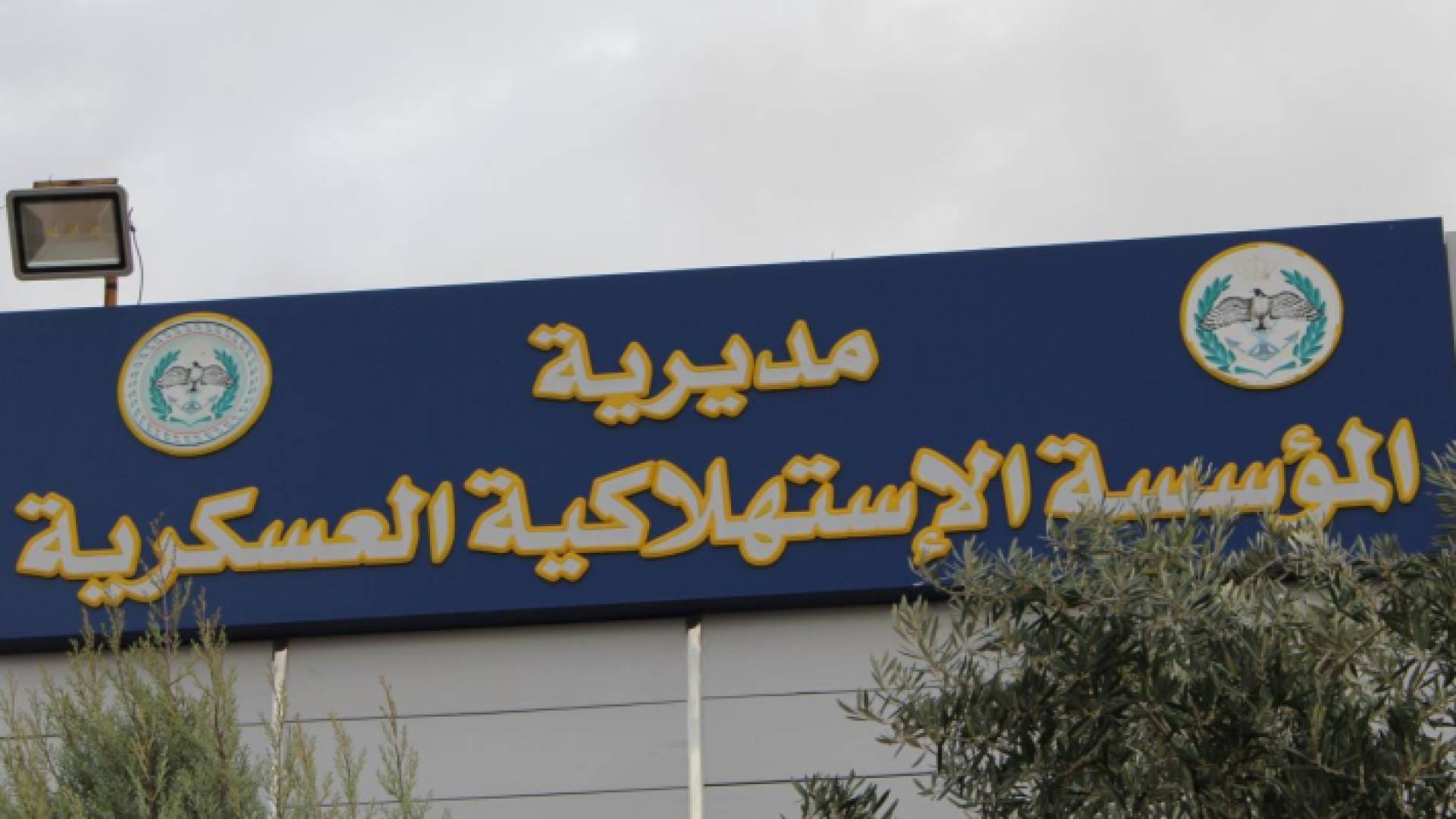 المؤسسة الاستهلاكية العسكرية