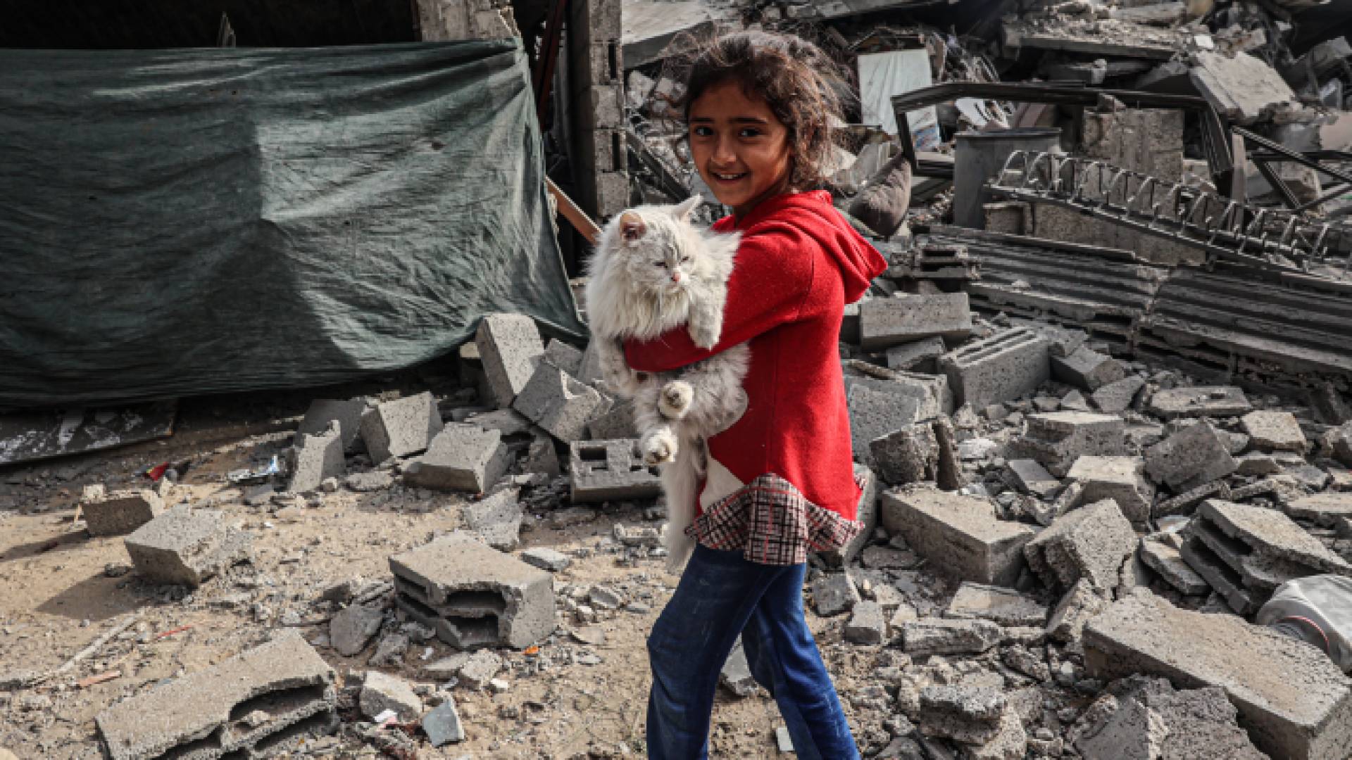 صغيرة فلسطينية تحمل قطة خائفة من القصف "تعبيرية"