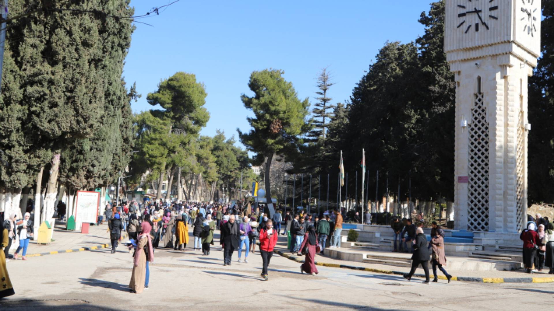 طلبة جامعات