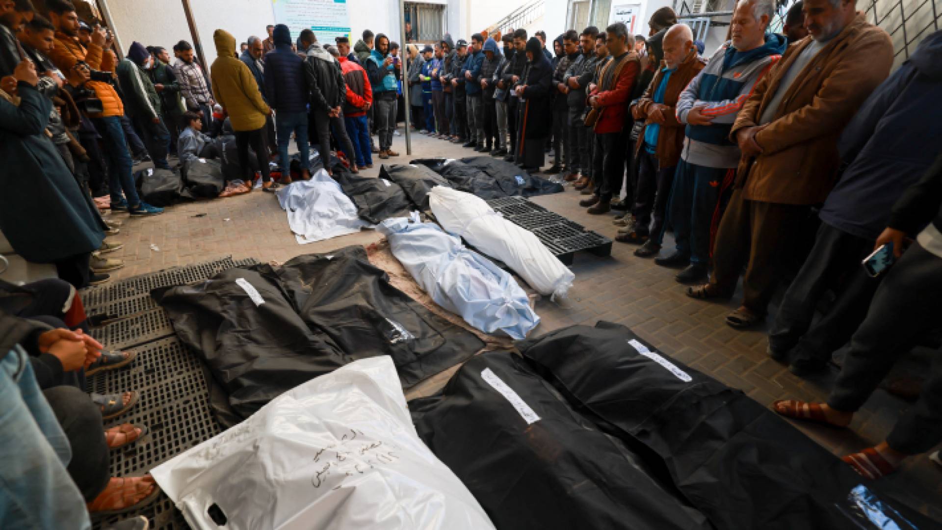 شهداء بعدوان الاحتلال على غزة