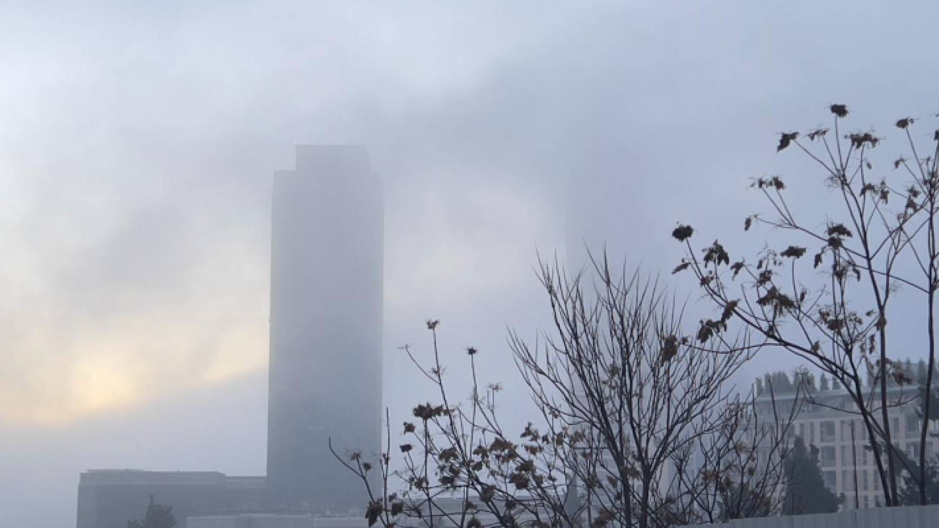 أمطار وضباب في العاصمة عمان