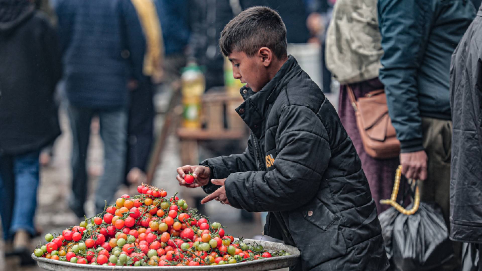 طفل في غزة يبيع الخضار وسط العدوان الحالي