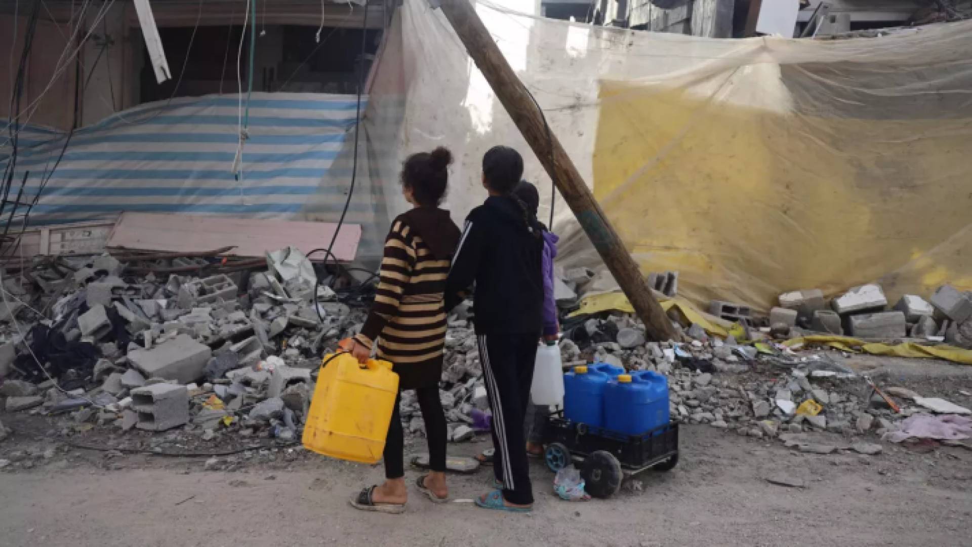 صغار في غزة