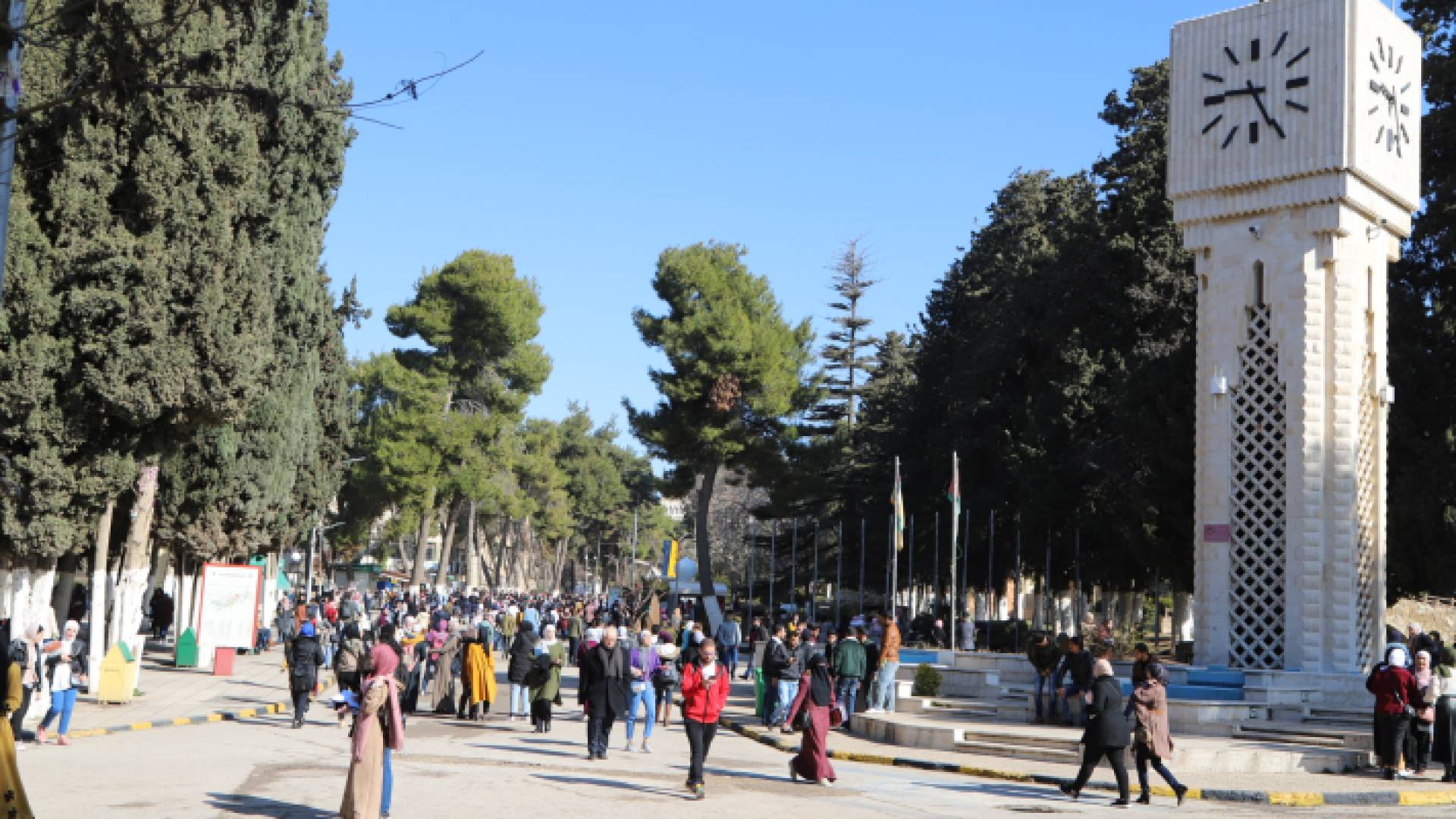 الجامعة الأردنية