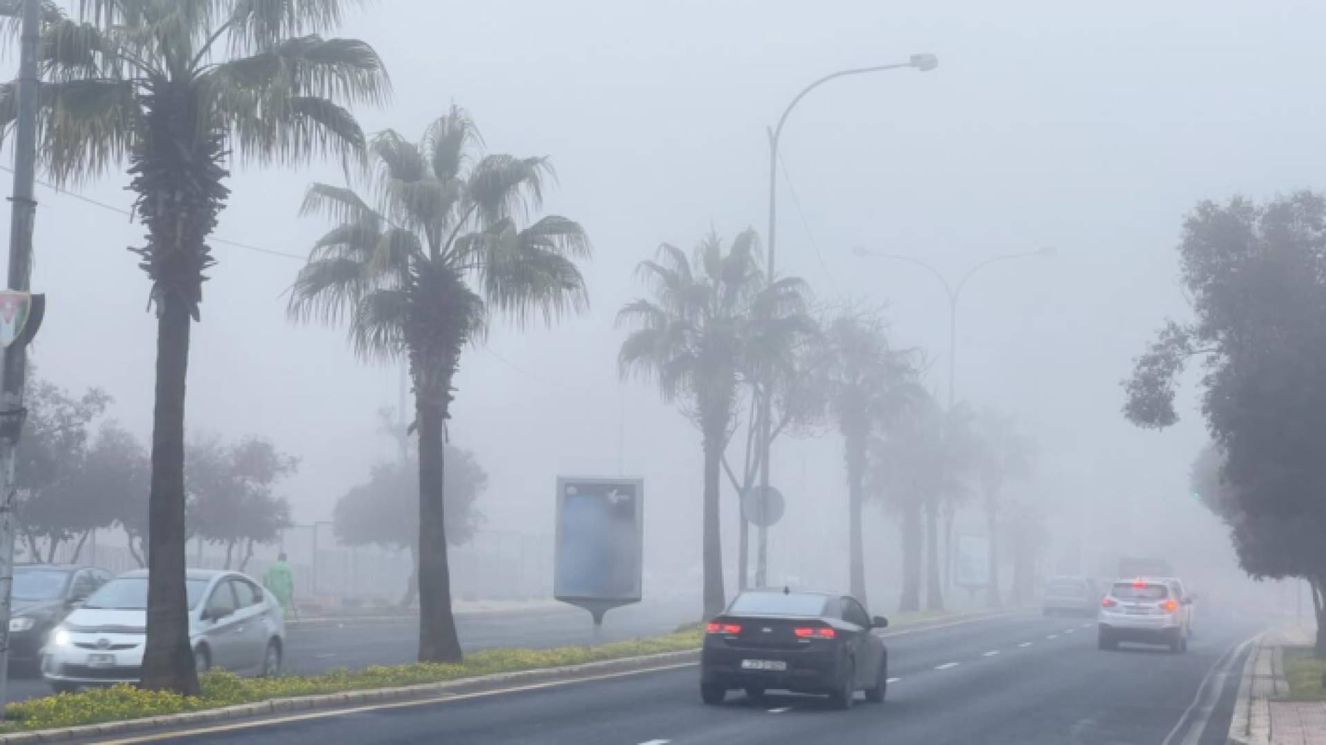 أمطار وضباب في العاصمة عمان
