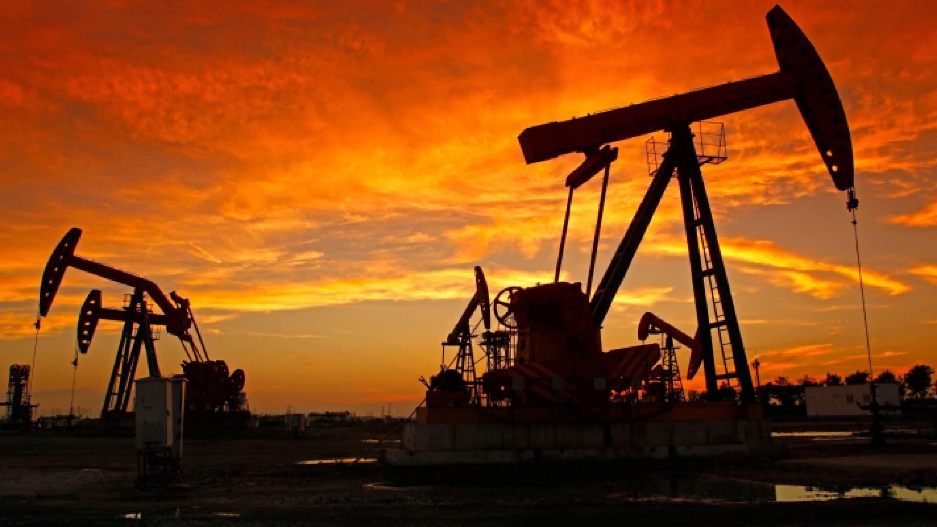 خام برنت يهبط إلى 83 دولارا للبرميل