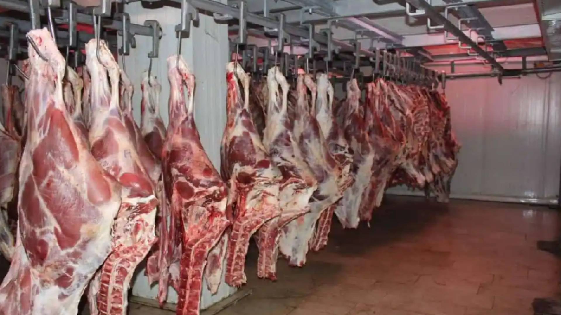 استيراد اللحوم